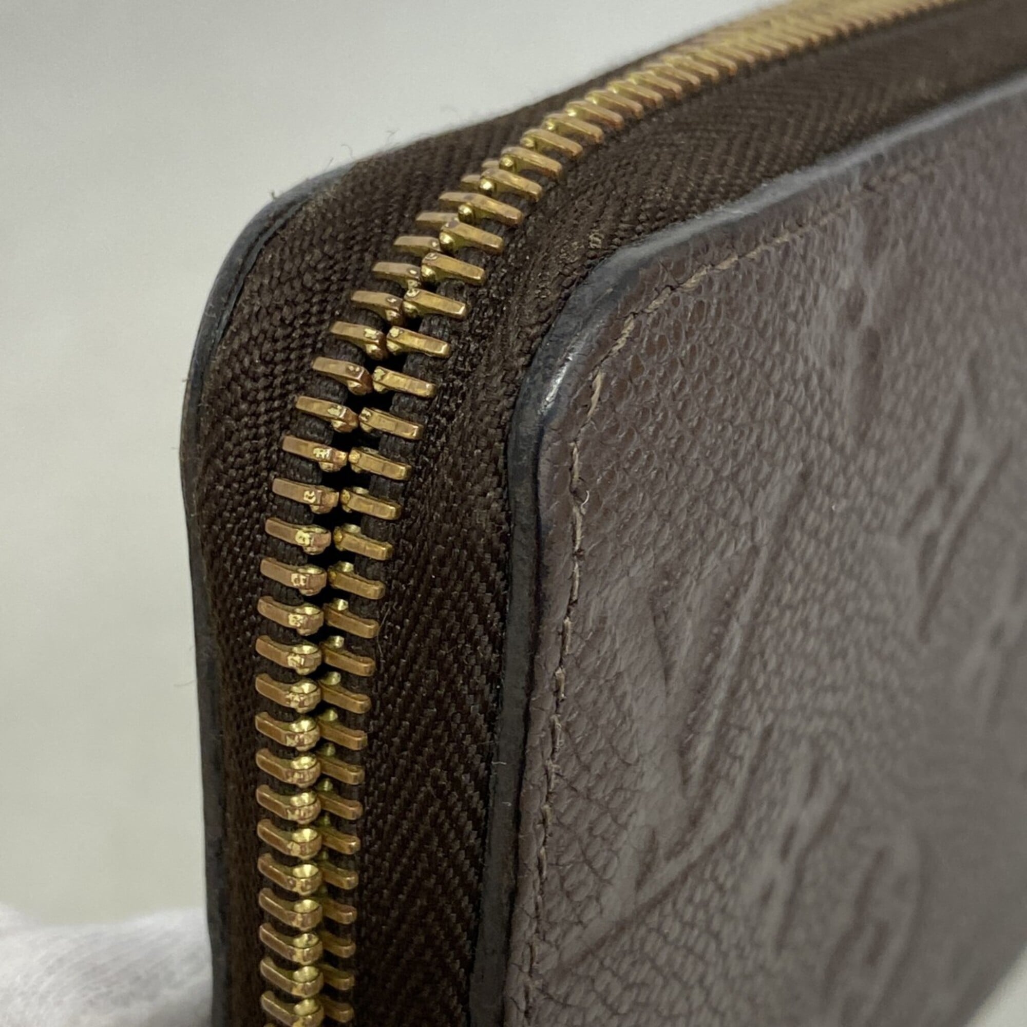 Louis Vuitton Earth Long Wallet (Bi-Fold) (Pre-Owned)