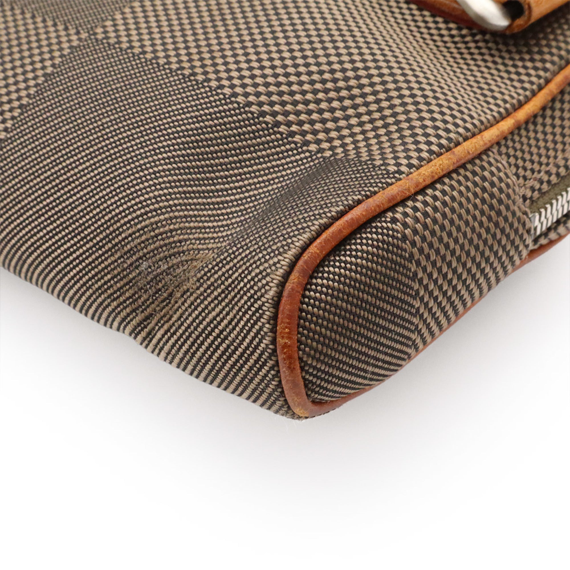 Louis Vuitton Earth Damier Geant Canvas Fanny Pack Sling Bag (Pre-Owned)