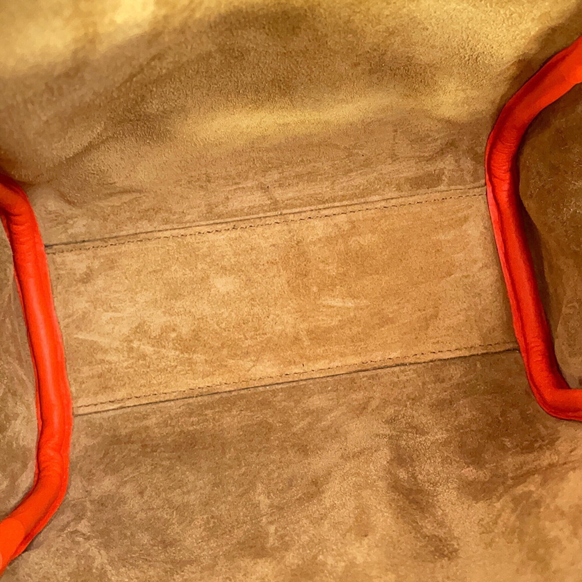 Loewe Amazona Orange Leather Handbag (Pre-Owned)