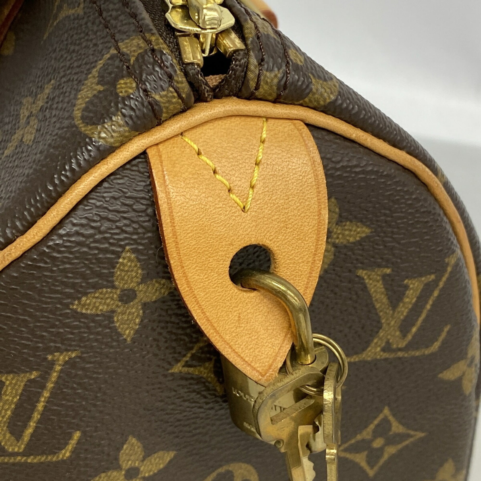 Louis Vuitton Brown Handbag (Pre-Owned)