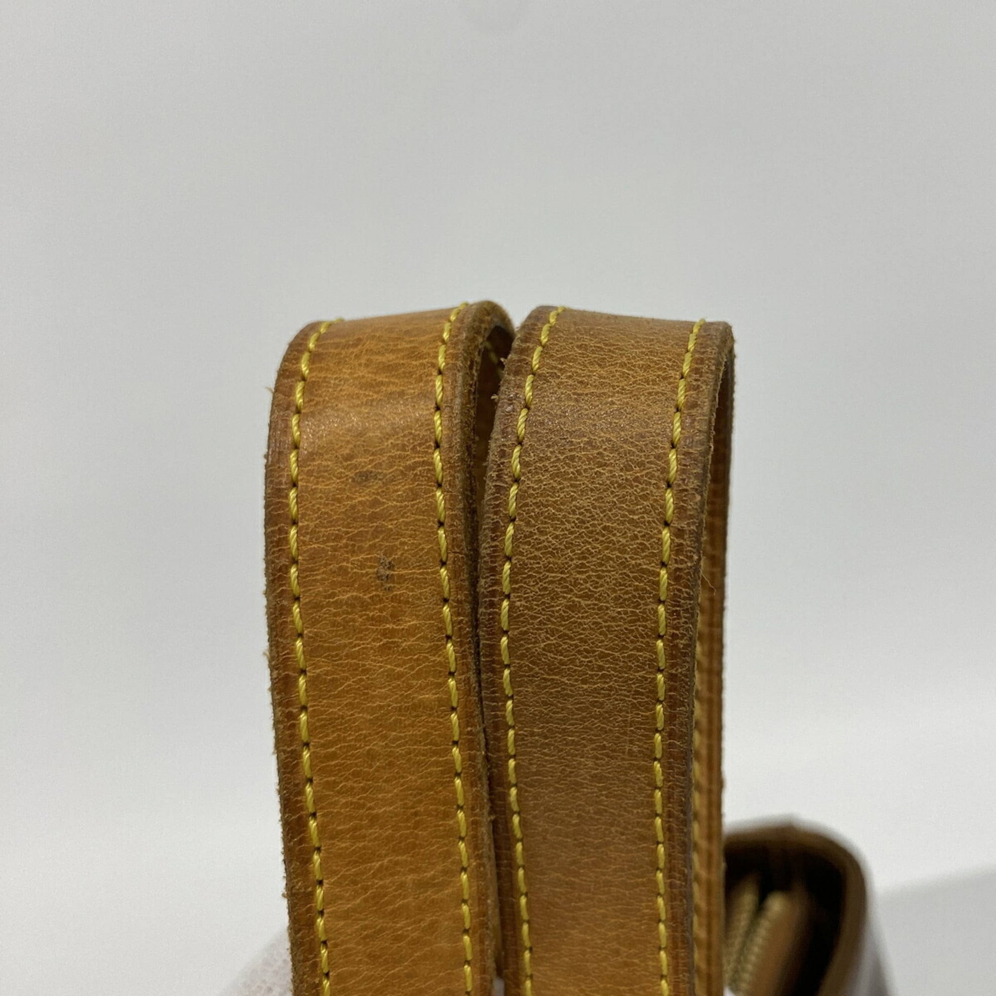 Louis Vuitton Bronze Tote Bag (Pre-Owned)