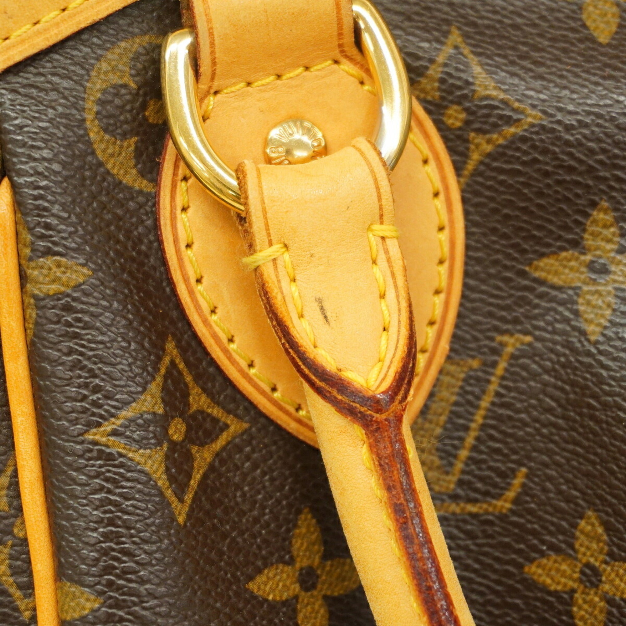 Louis Vuitton Brown Handbag (Pre-Owned)