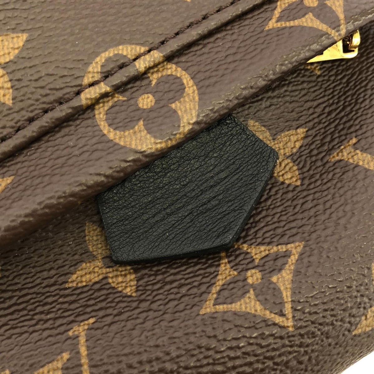 Louis Vuitton Marron Coated Canvas Backpack (Pre-Owned)