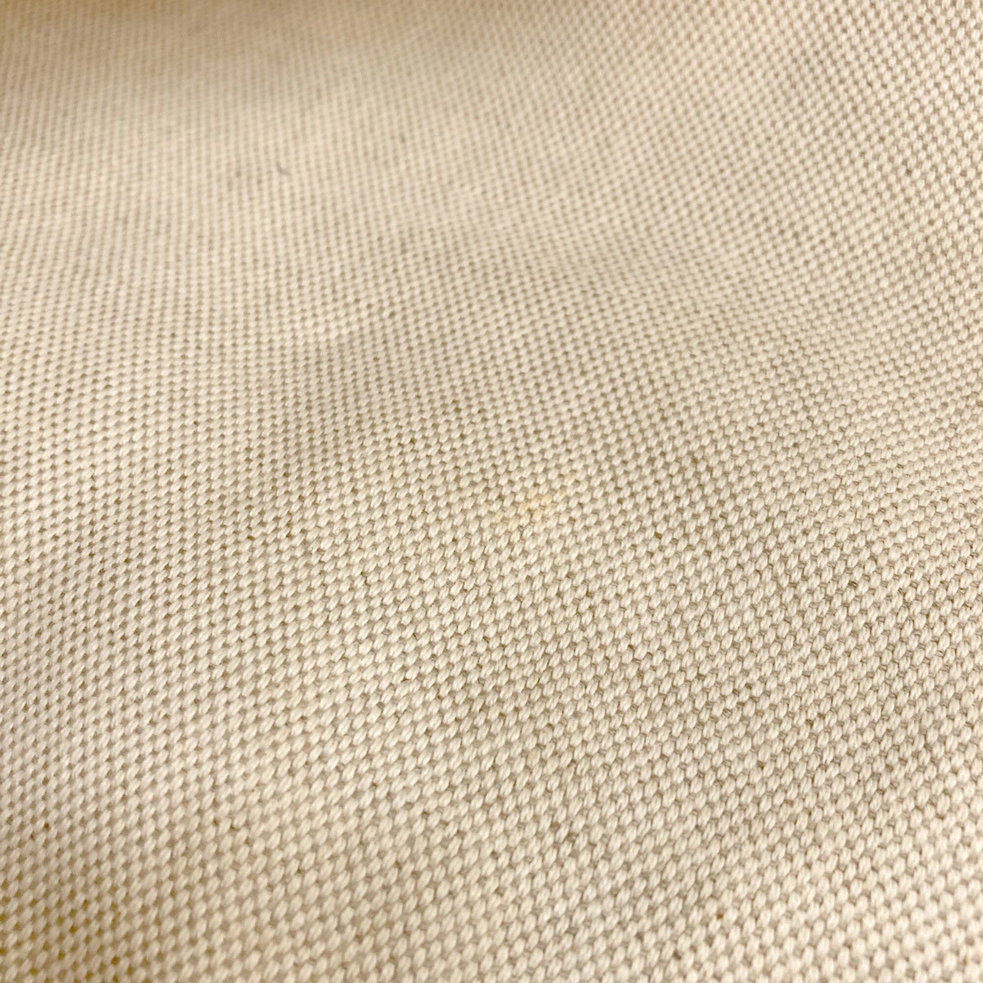 Miu Miu Beige Canvas Tote Bag (Pre-Owned)