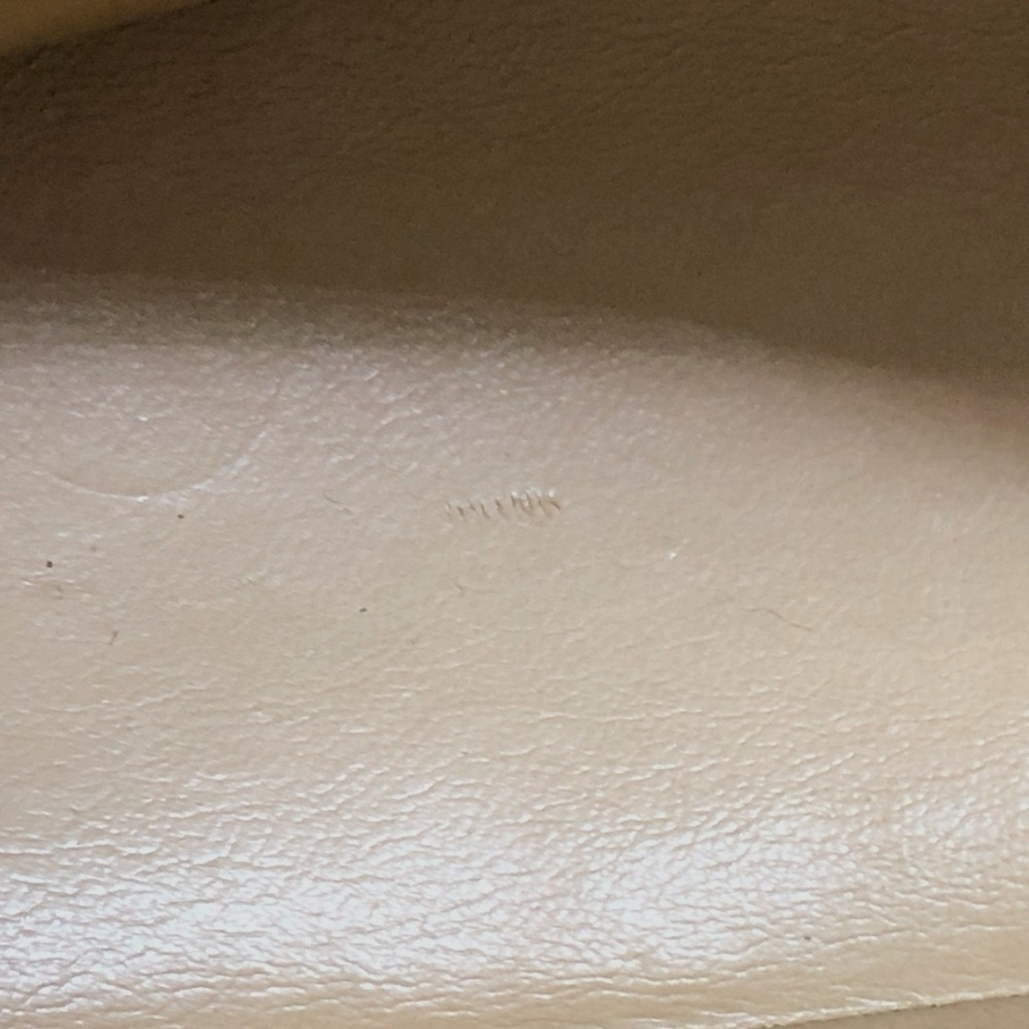 Chanel Beige Grained Calfskin Tote Bag (Pre-Owned)