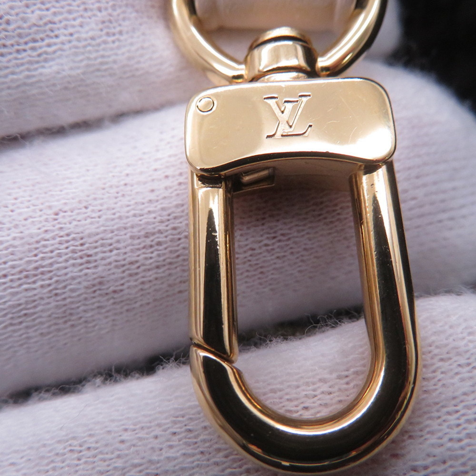 Louis Vuitton Leopard Monogram Monogram Pouch Tote Bag (Pre-Owned)