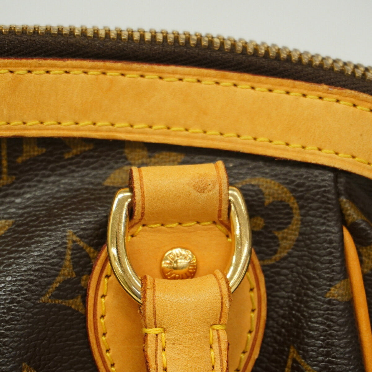 Louis Vuitton Brown Handbag (Pre-Owned)