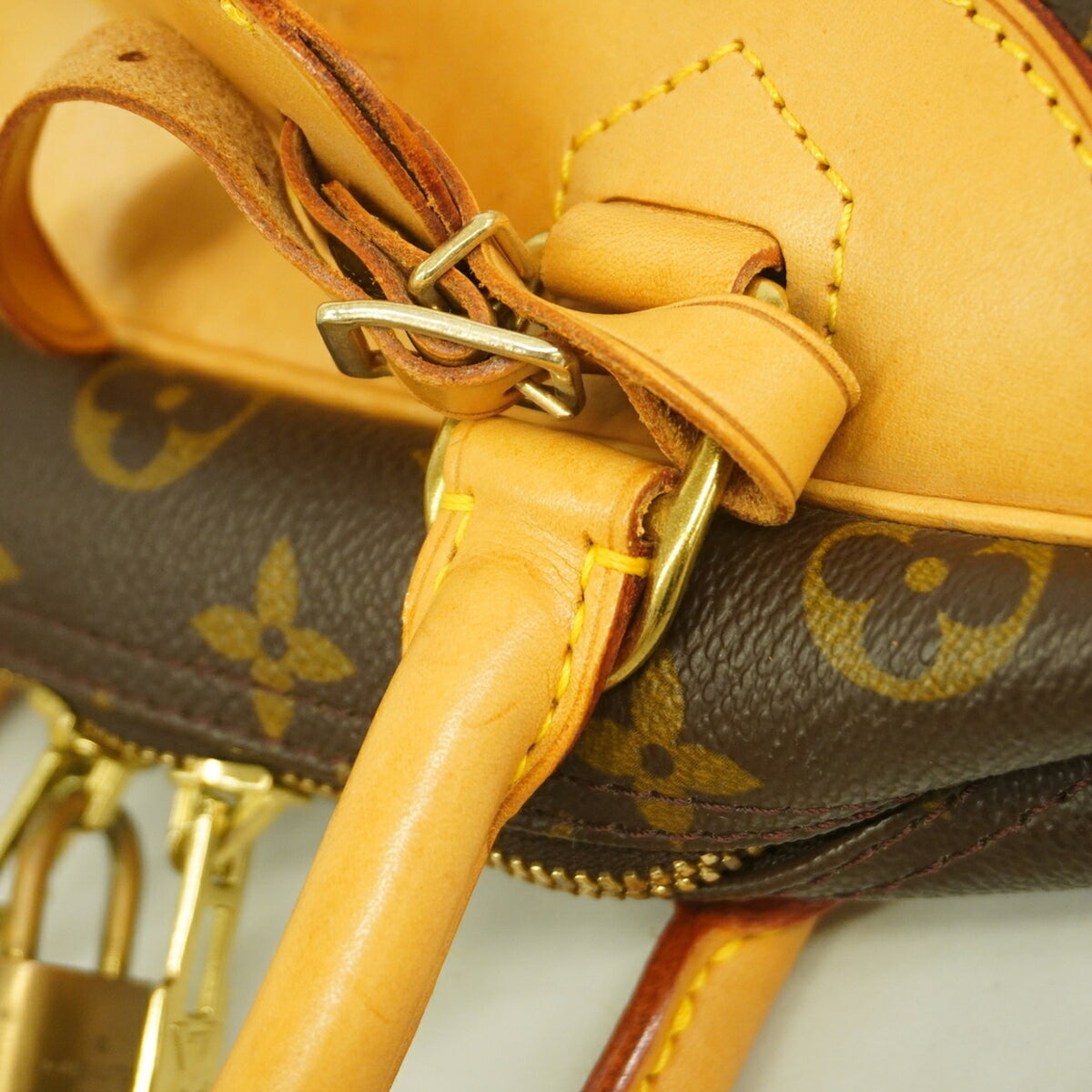 Louis Vuitton Brown Handbag (Pre-Owned)