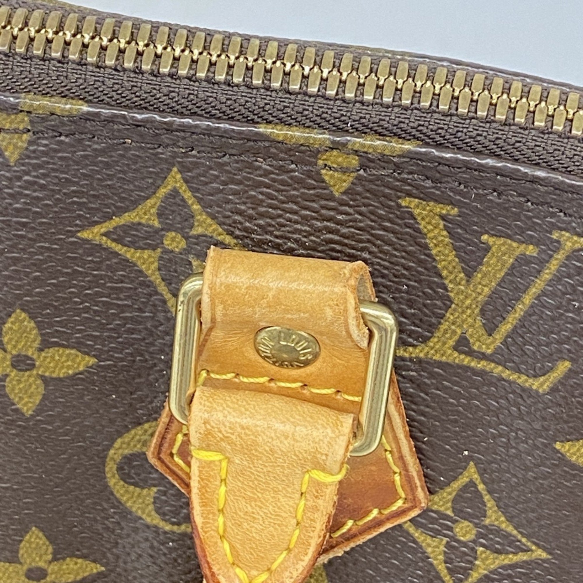 Louis Vuitton Brown Handbag (Pre-Owned)