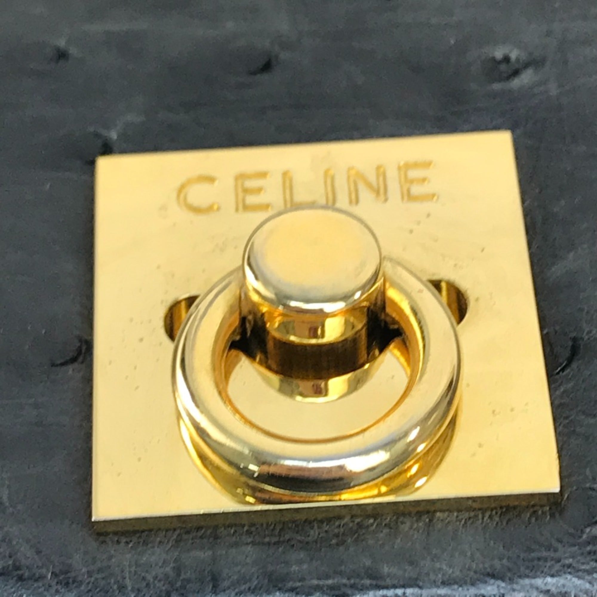 Celine Black Other Handbag (Pre-Owned)