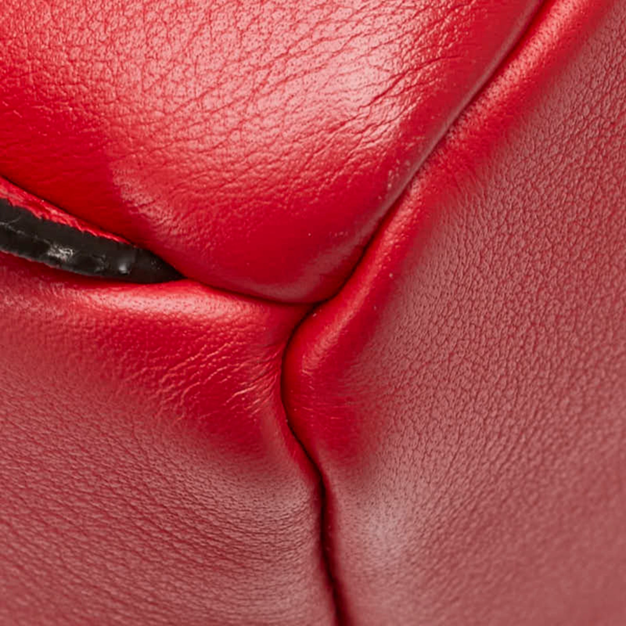 Fendi Red Color Leather Backpack (Pre-Owned)