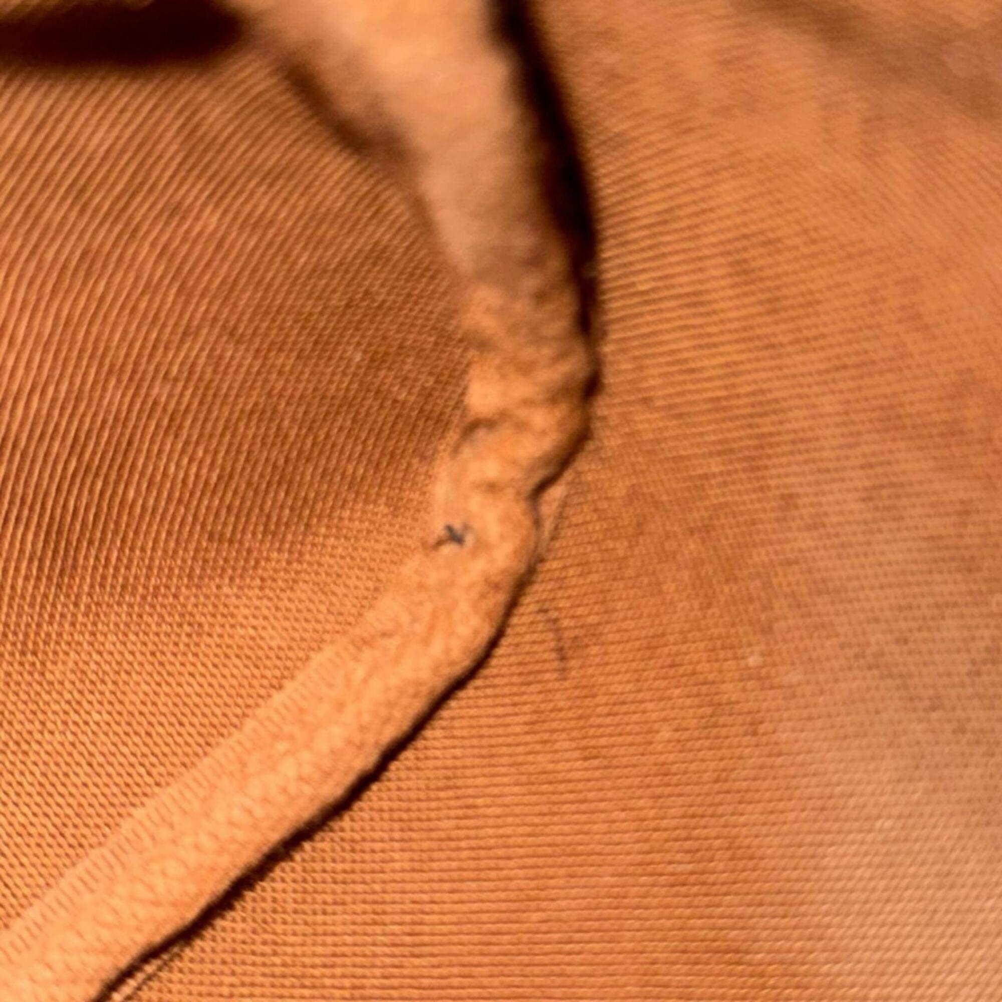 Louis Vuitton Brown Monogram Canvas Shoulder Bag (Pre-Owned)