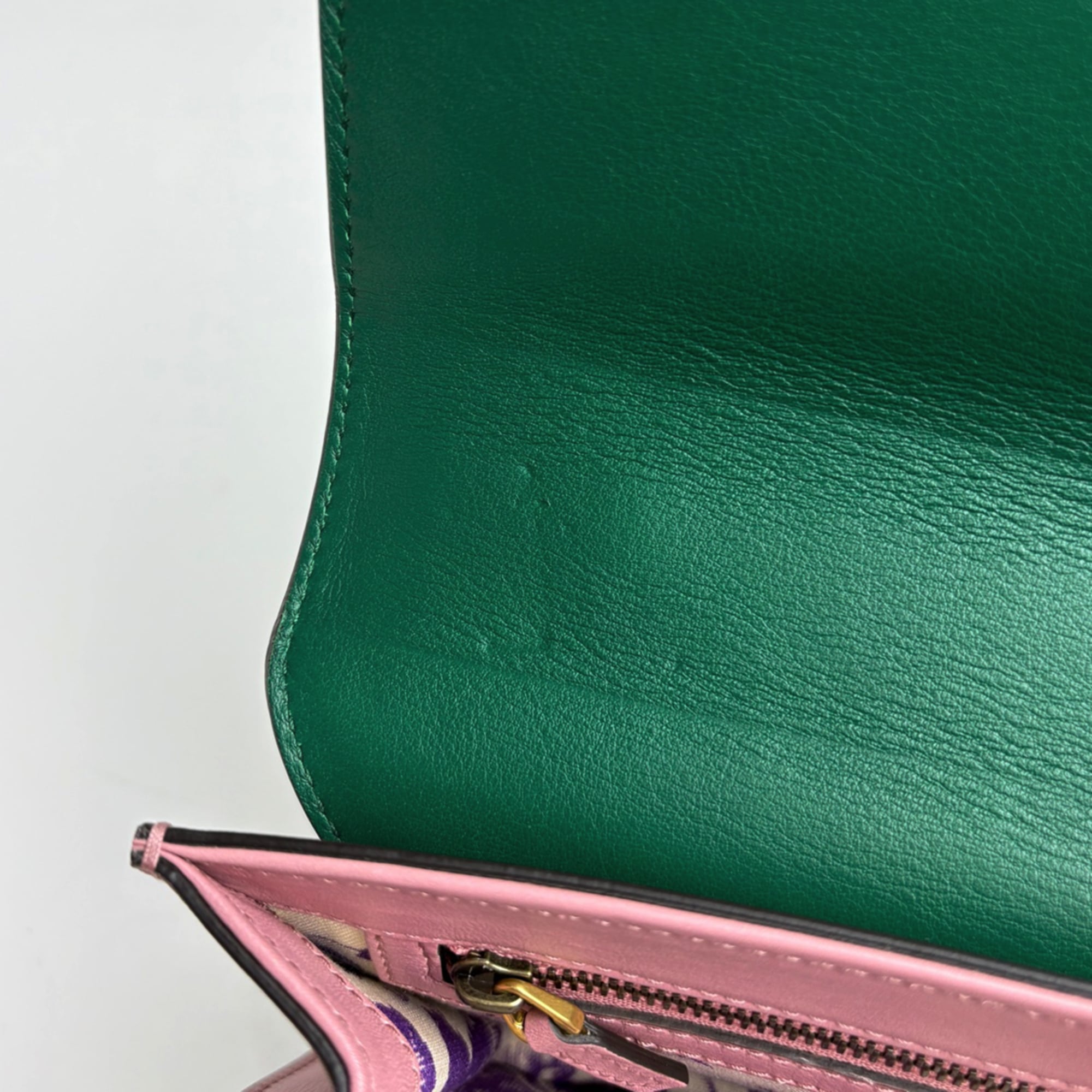 Gucci Animalier Green Pink Leather Shoulder Bag (Pre-Owned)