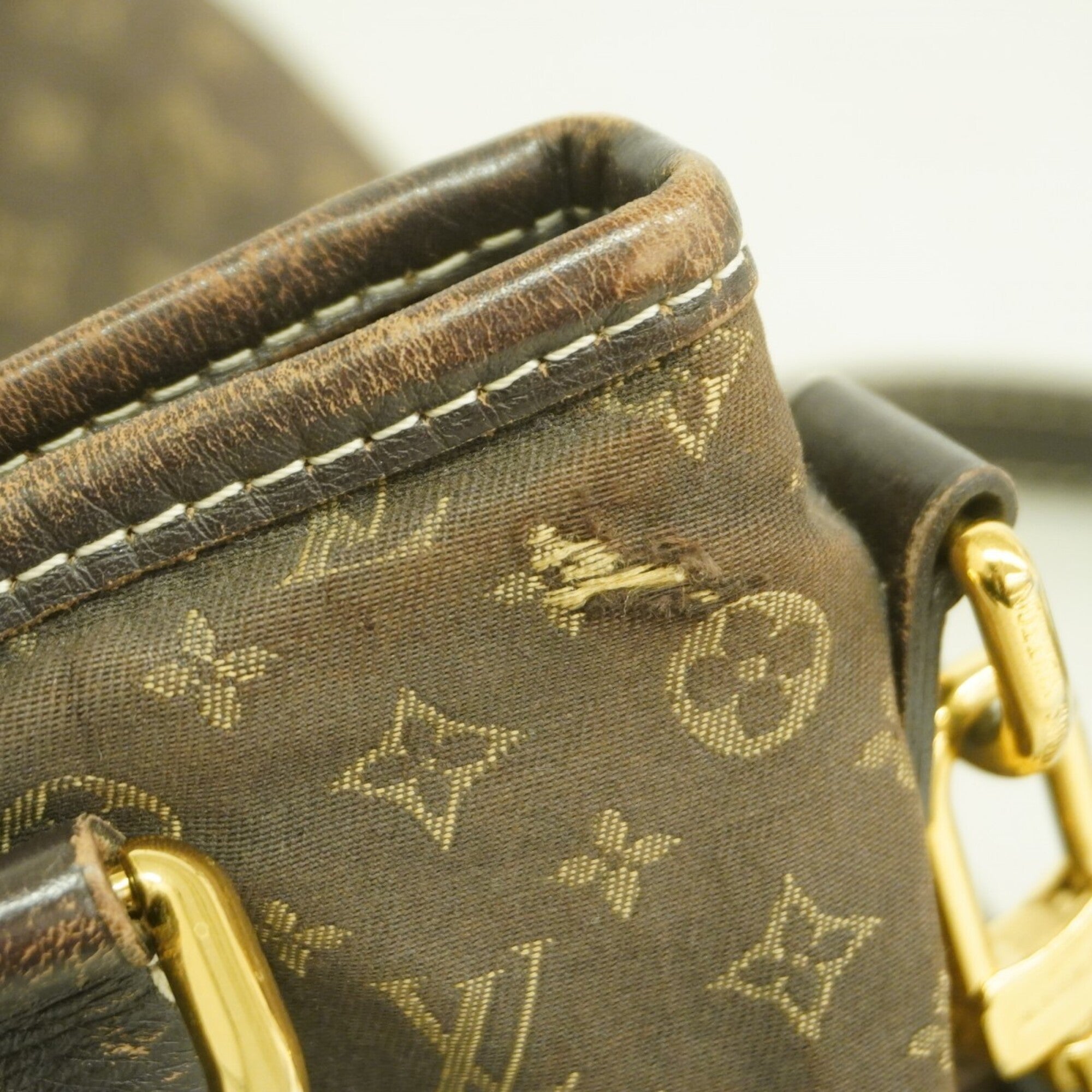 Louis Vuitton Fusain Handbag (Pre-Owned)