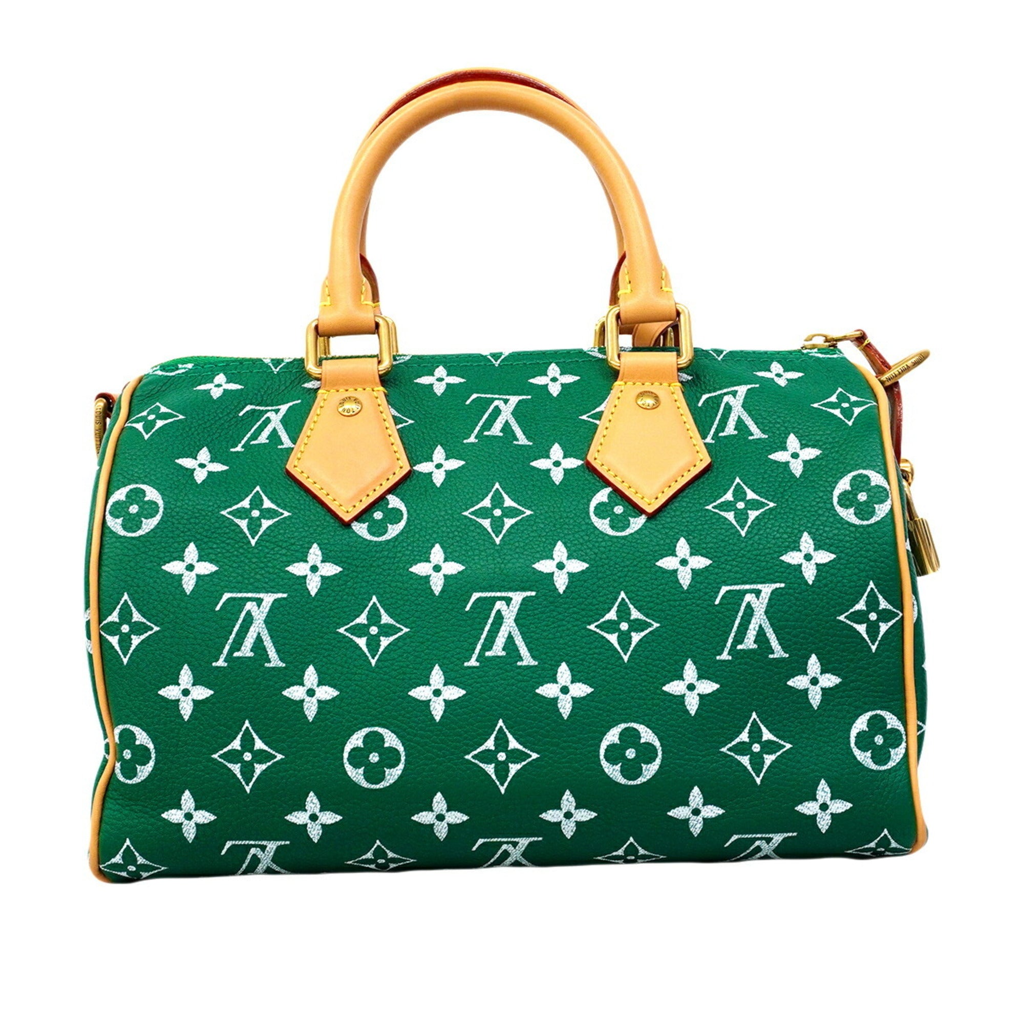 Louis Vuitton Vert Handbag (Pre-Owned)