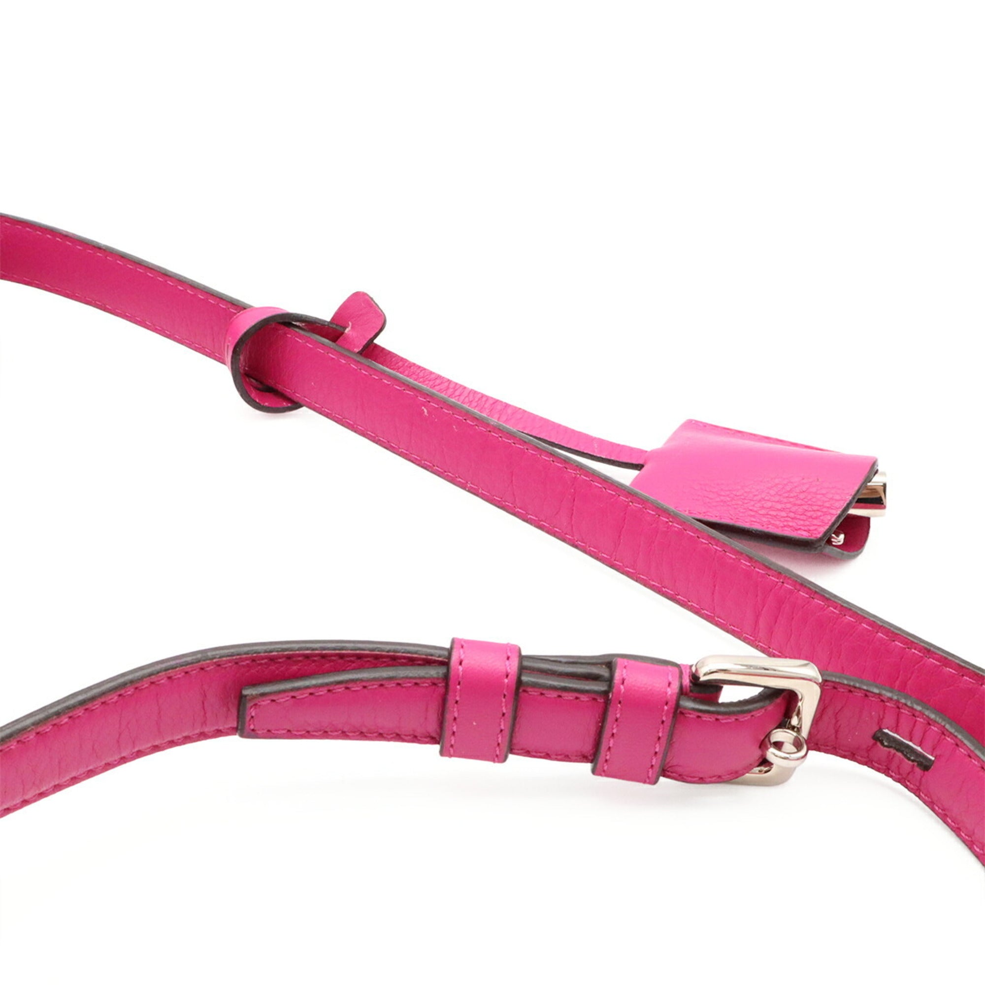Loewe Pink Leather Pochette Shoulder Bag (Pre-Owned)