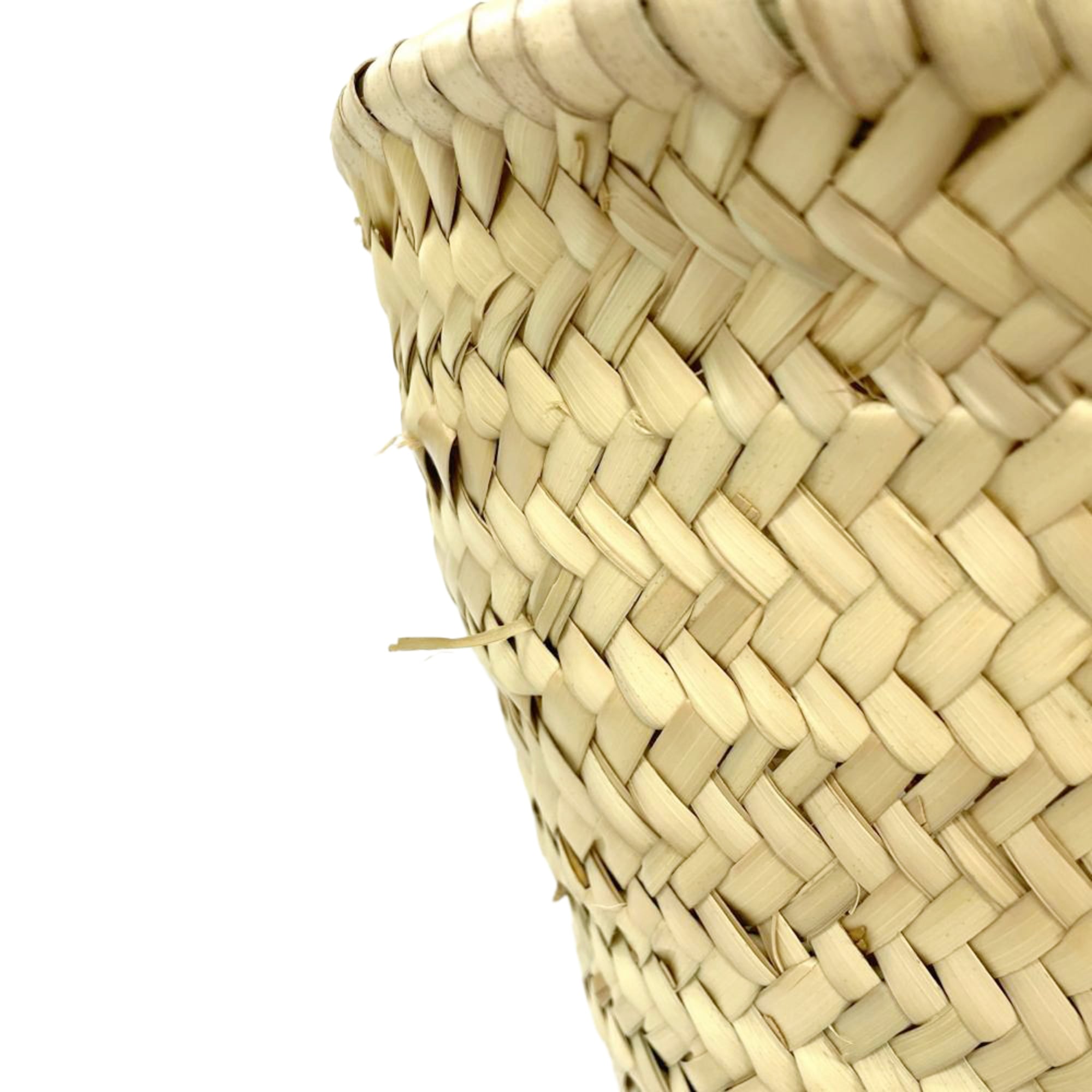 Celine Beige Raffia Leather Tote Bag (Pre-Owned)