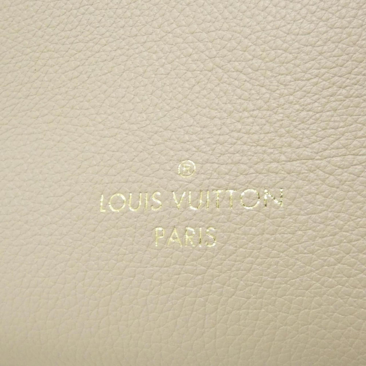 Louis Vuitton Grayish Coated Canvas Leather Handbag (Pre-Owned)