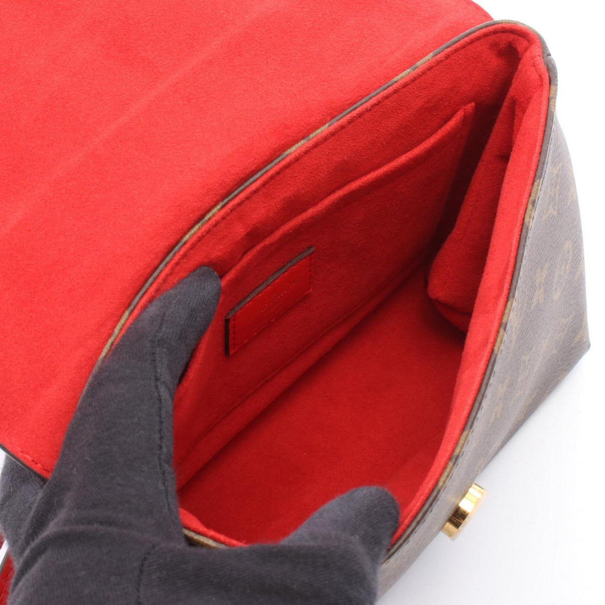 Louis Vuitton Brown Coquelicots Monogram Red Color Monogram Leather Handbag (Pre-Owned)