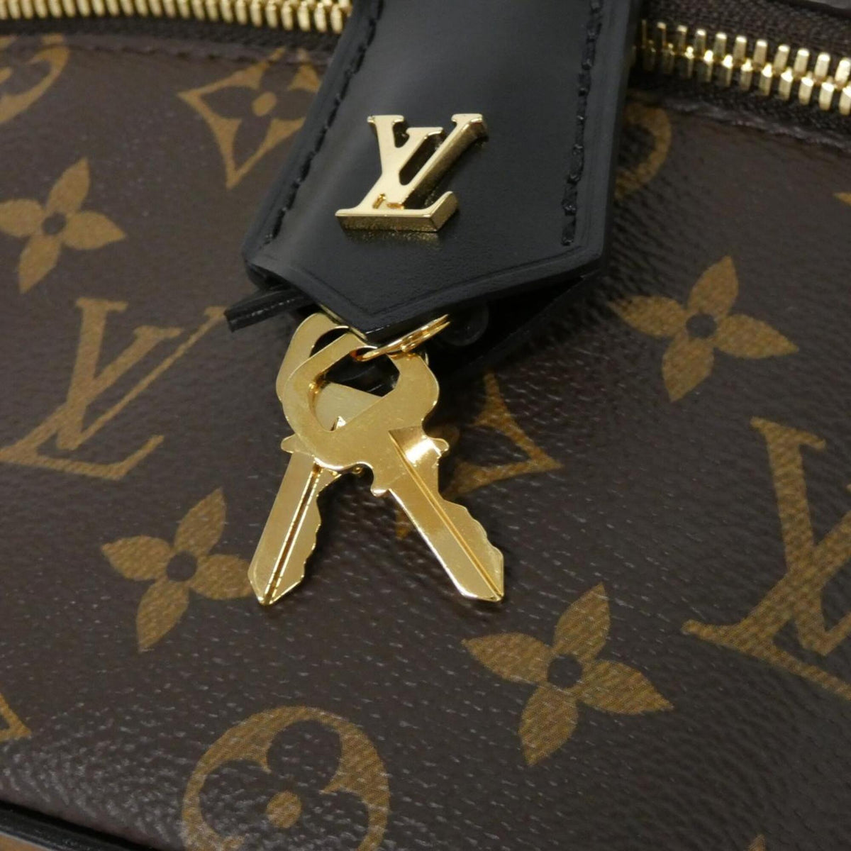 Louis Vuitton Marron Monogram Monogram Handbag (Pre-Owned)
