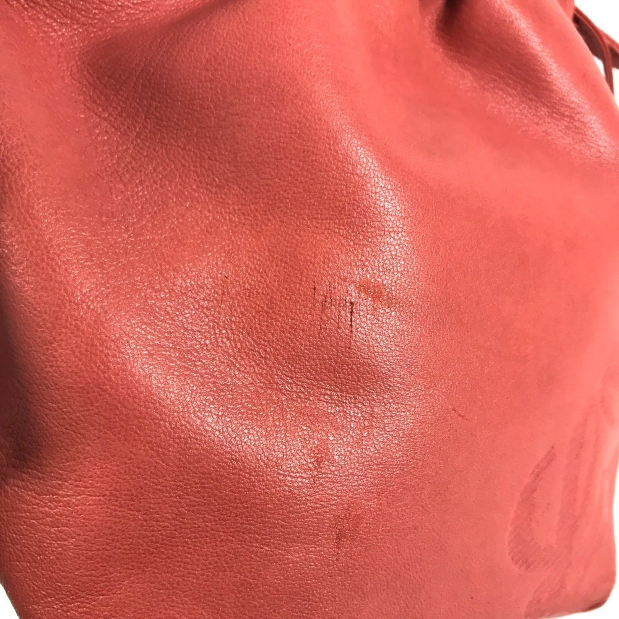 Loewe Pink Red Color Nappa Leather Leather Pochette Shoulder Bag (Pre-Owned)