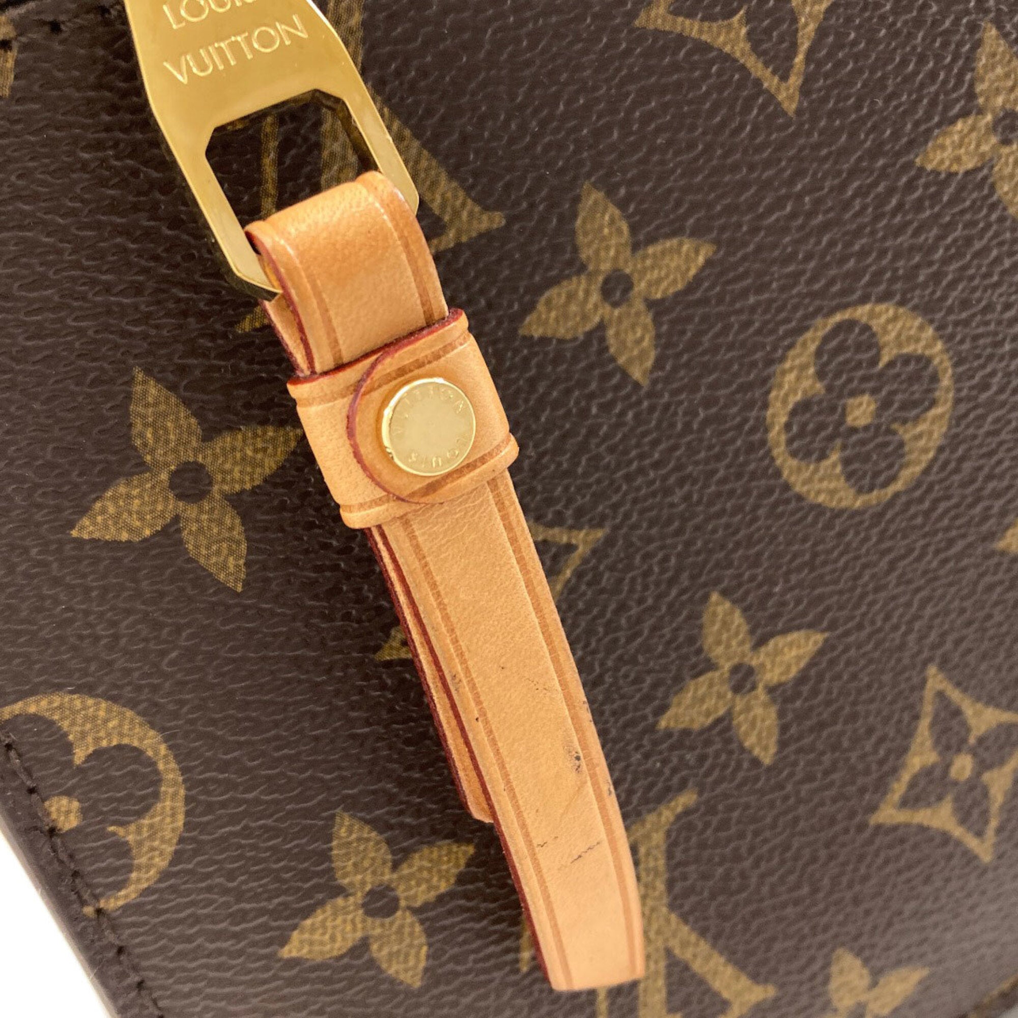 Louis Vuitton Monogram Monogram Monogram Handbag Pochette (Pre-Owned)