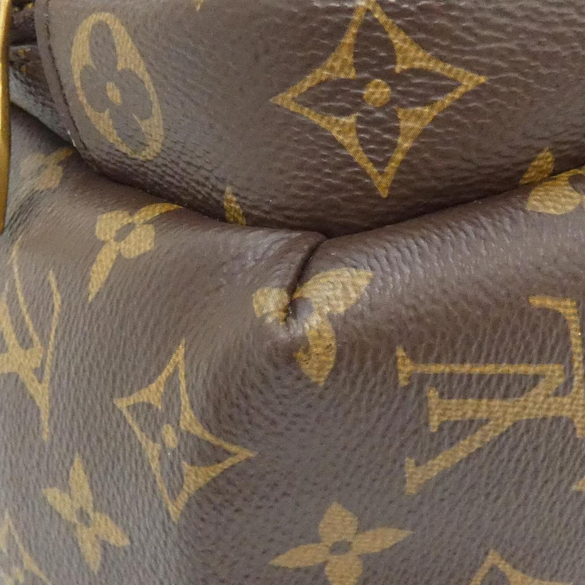 Louis Vuitton Marron Monogram Monogram Backpack (Pre-Owned)