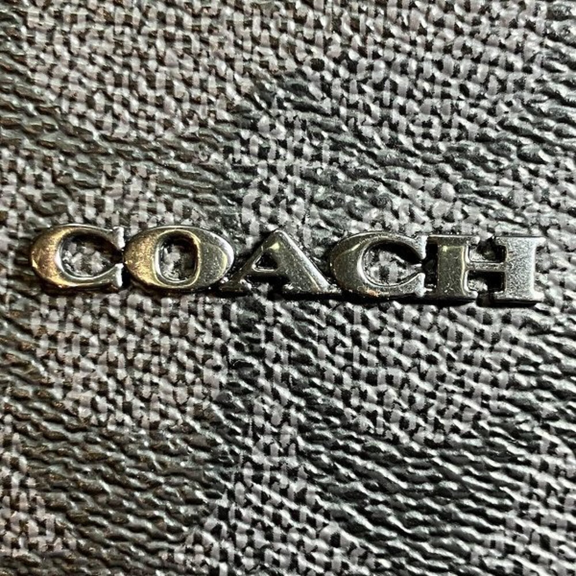 Coach Black Signature Line Backpack (Pre-Owned)