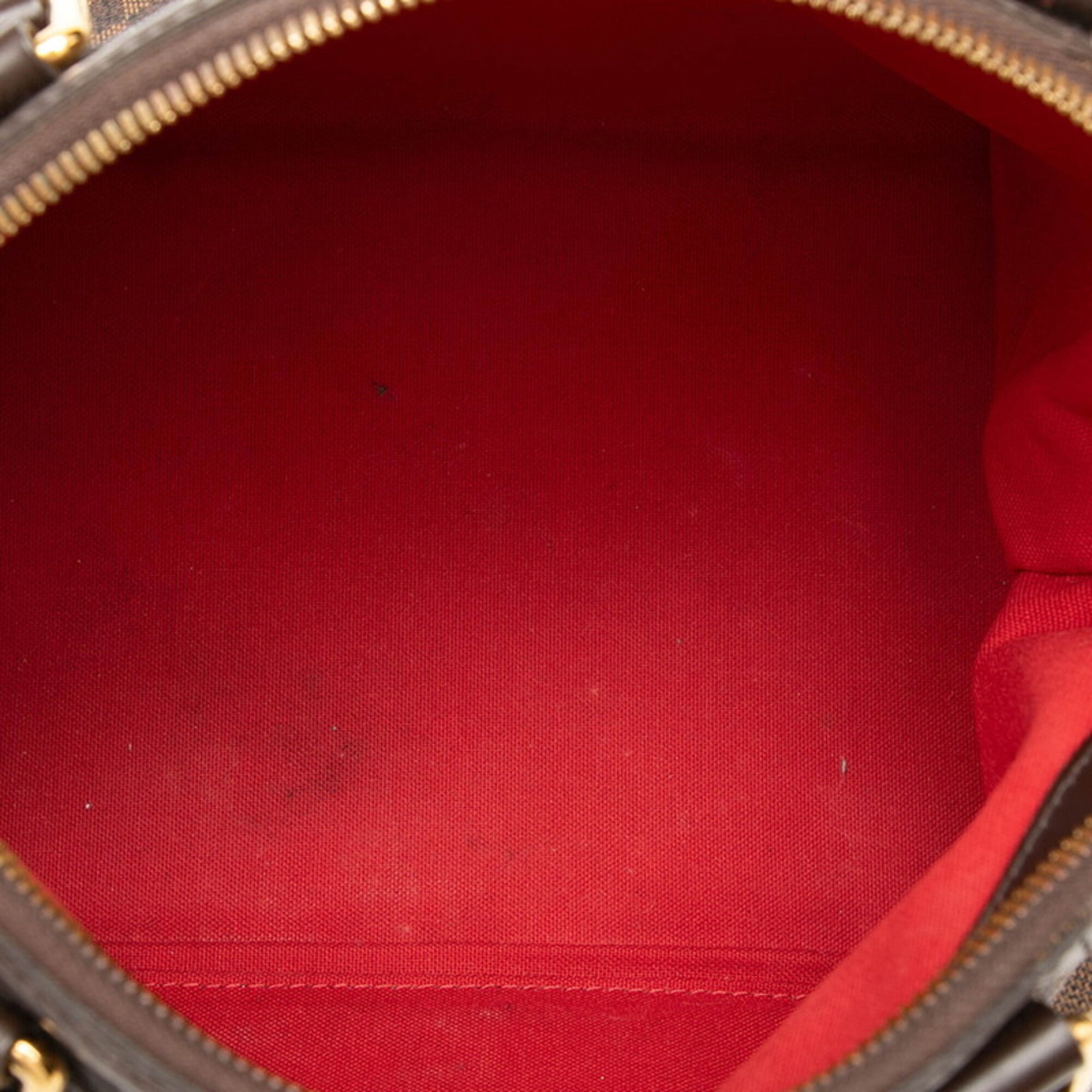 Louis Vuitton Brown Pvc Leather Handbag (Pre-Owned)