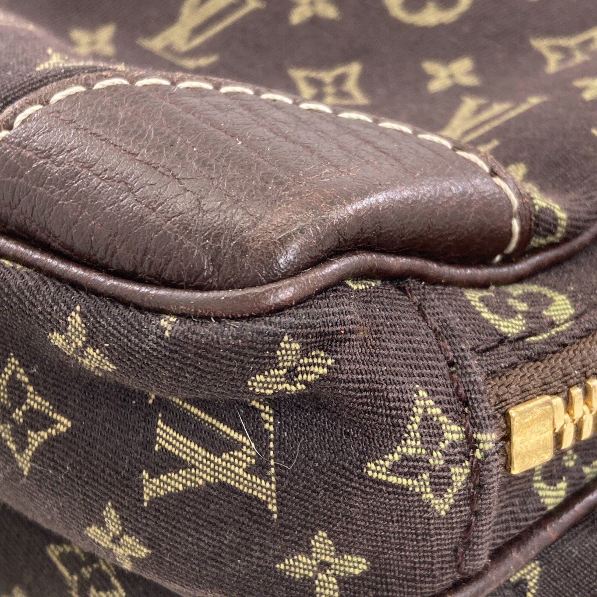 Louis Vuitton Monogram Mini Lin Ebene Monogram Mini Lin Tote Bag (Pre-Owned)