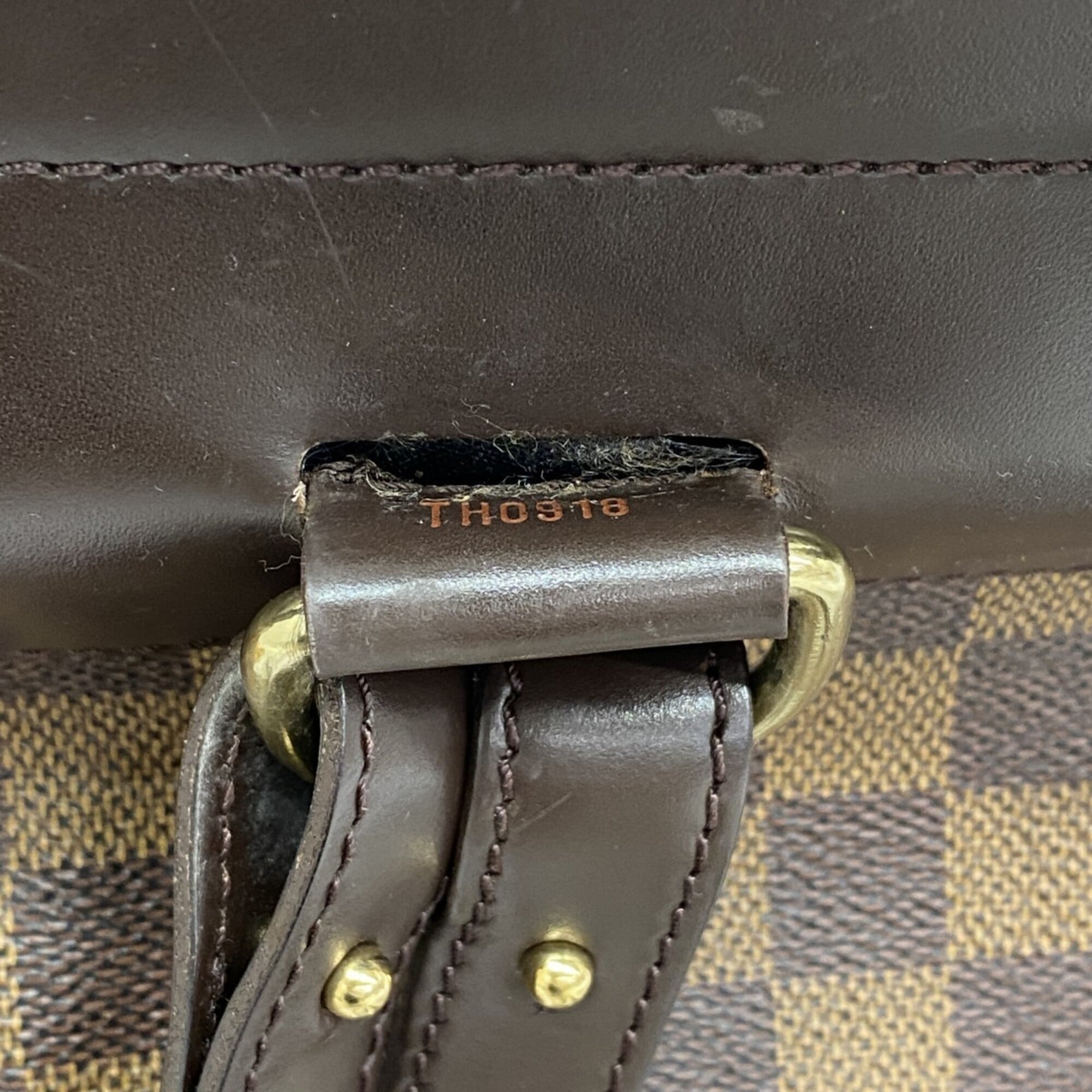 Louis Vuitton Ebene Backpack (Pre-Owned)