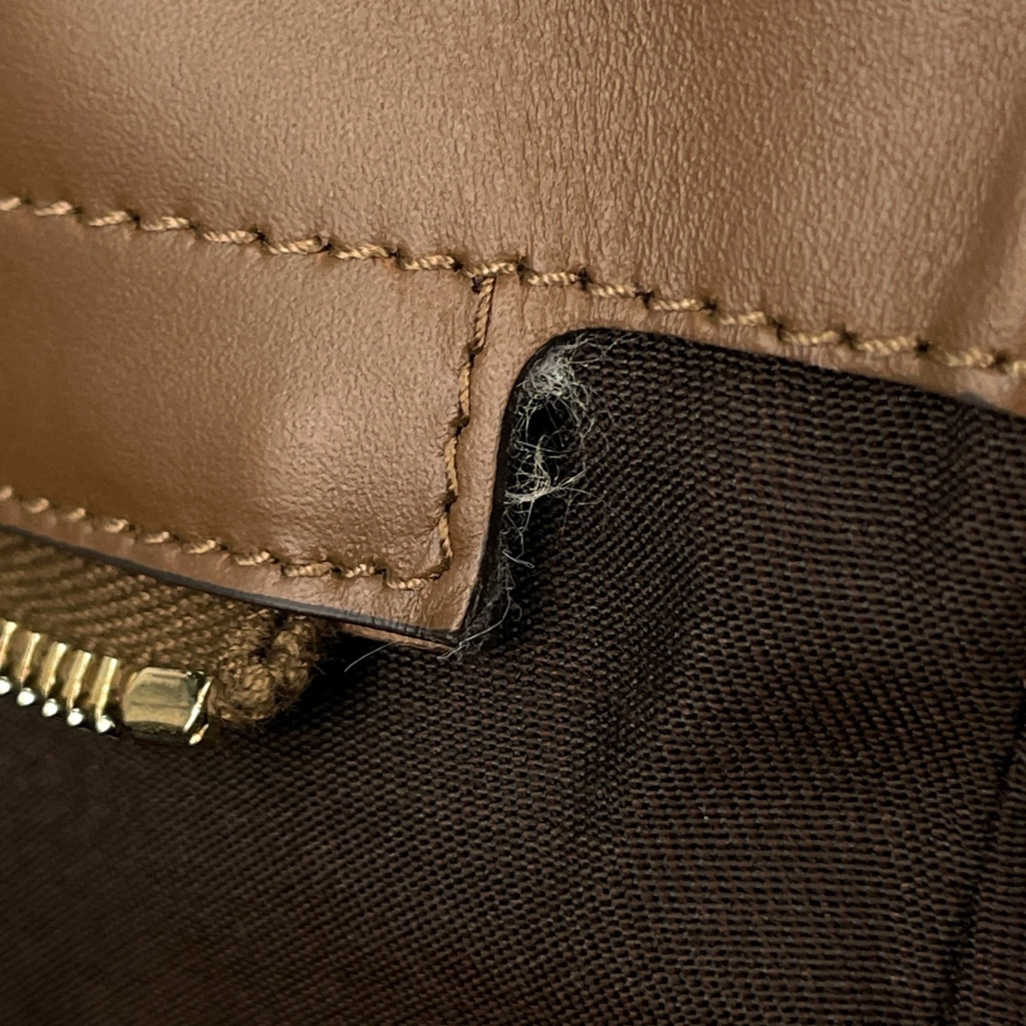 Gucci Brown Gg Canvas Tote Bag (Pre-Owned)