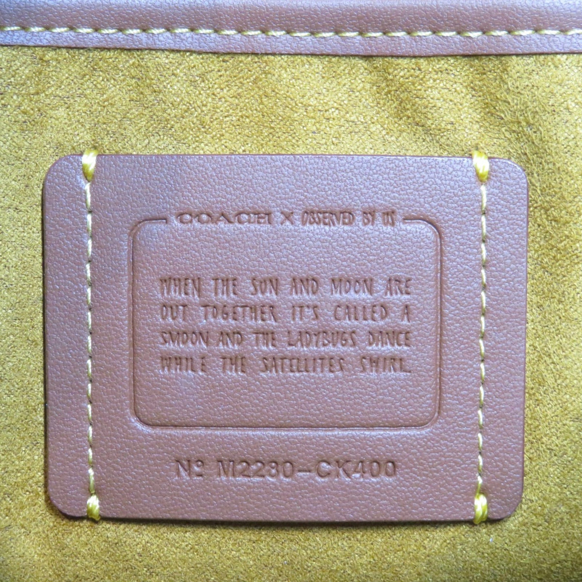 Coach Dark Brown Light Beige Leather (Pre-Owned)