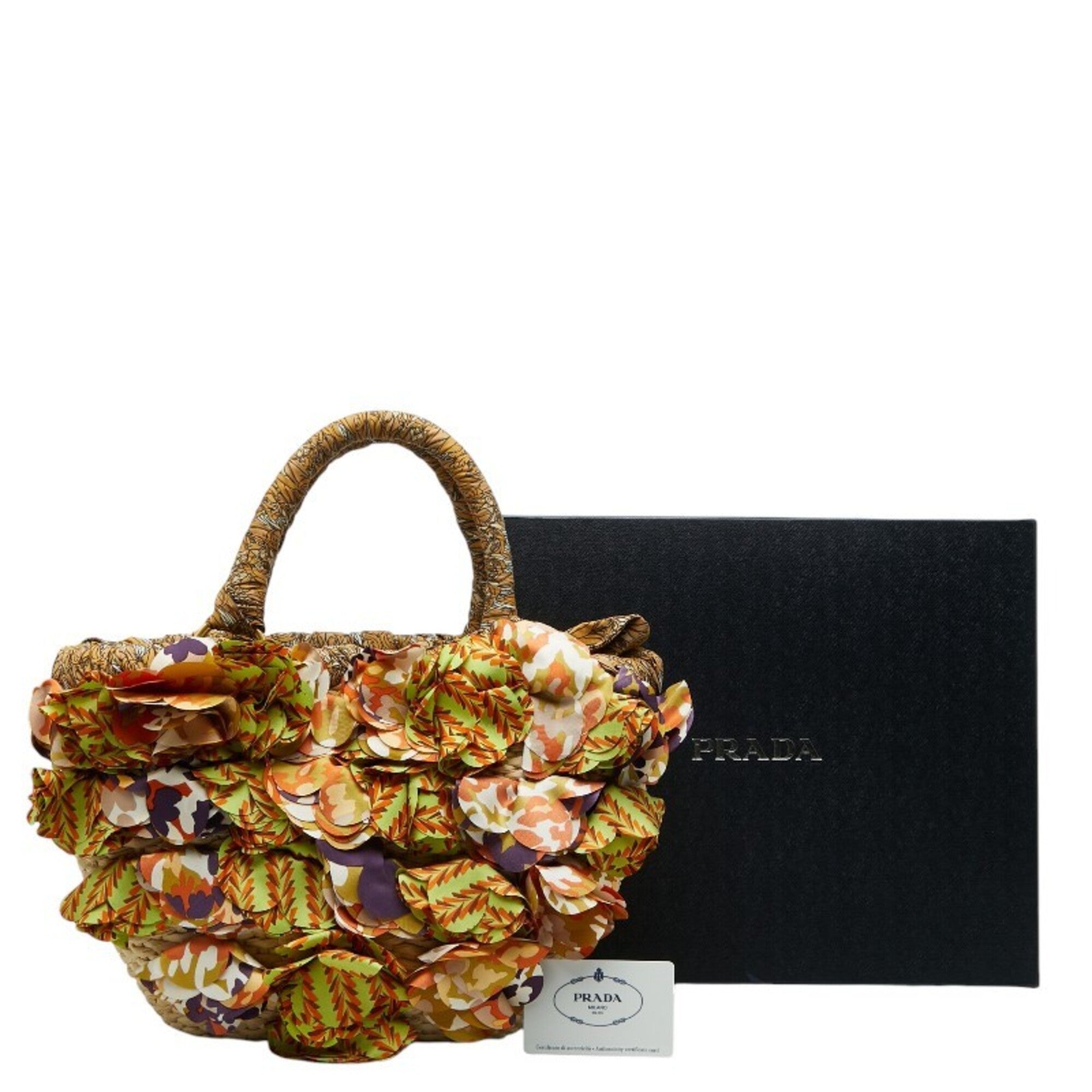 Prada Multi-Color Raffia Handbag (Pre-Owned)