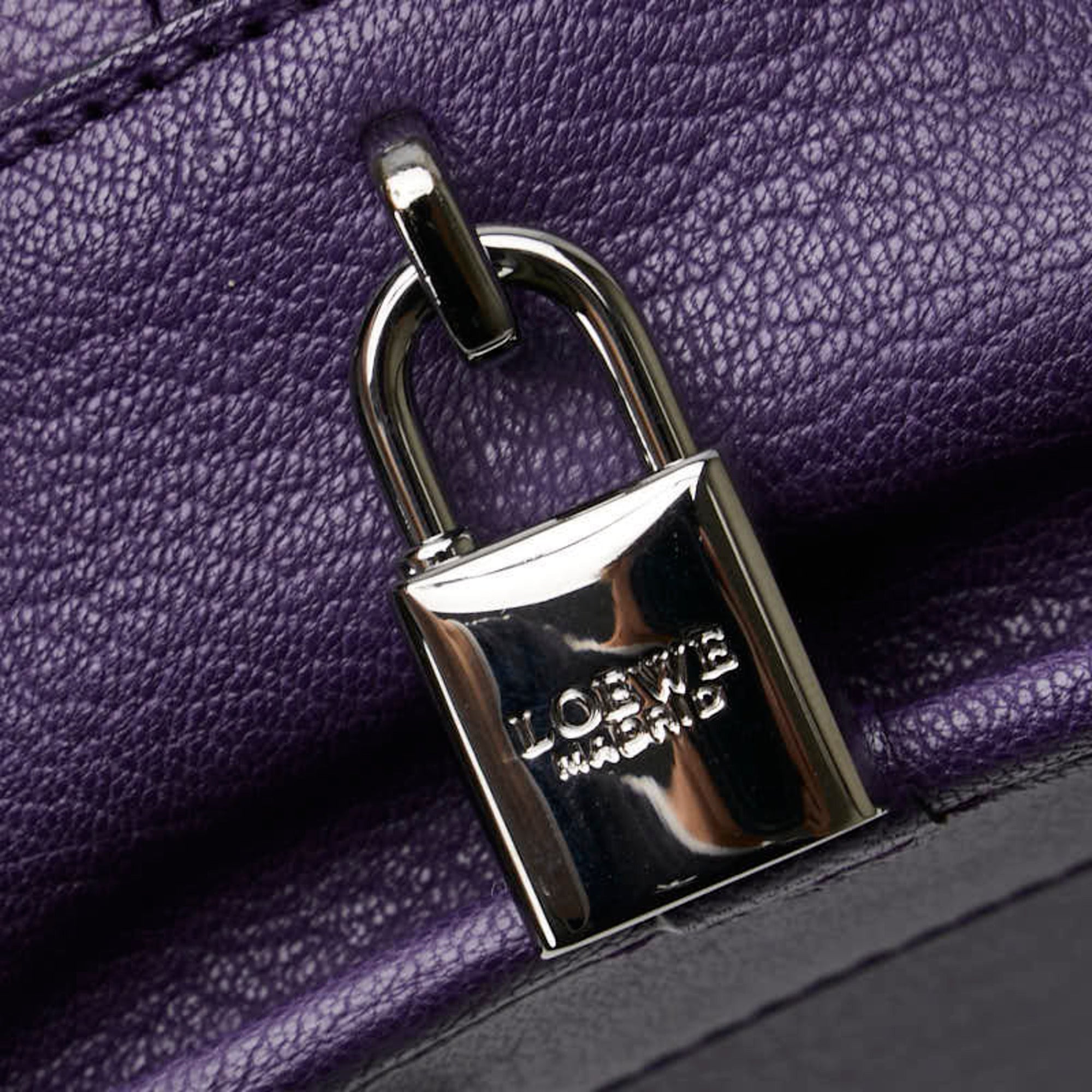 Loewe Purple Leather Handbag (Pre-Owned)