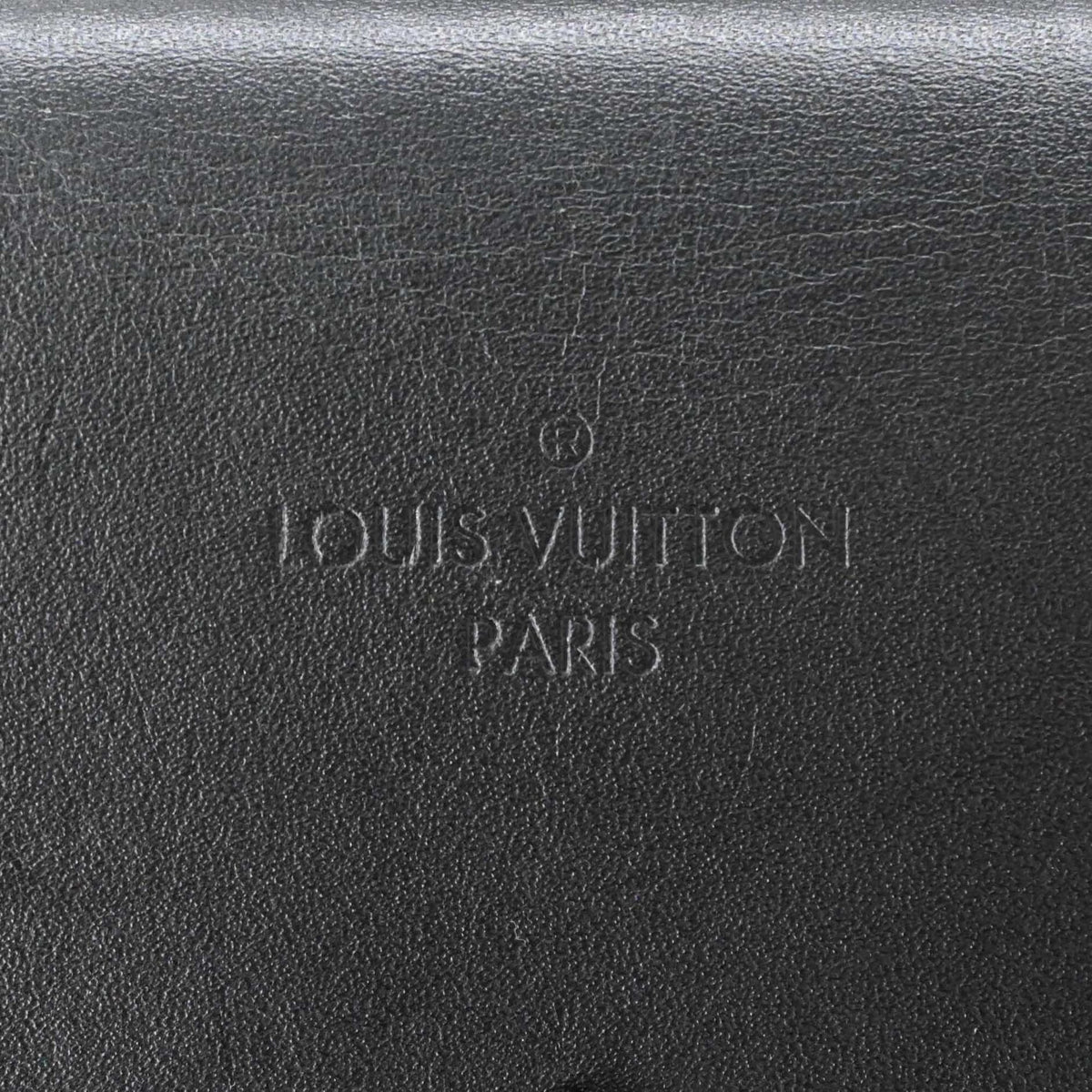 Louis Vuitton Black Brown Leather Backpack (Pre-Owned)