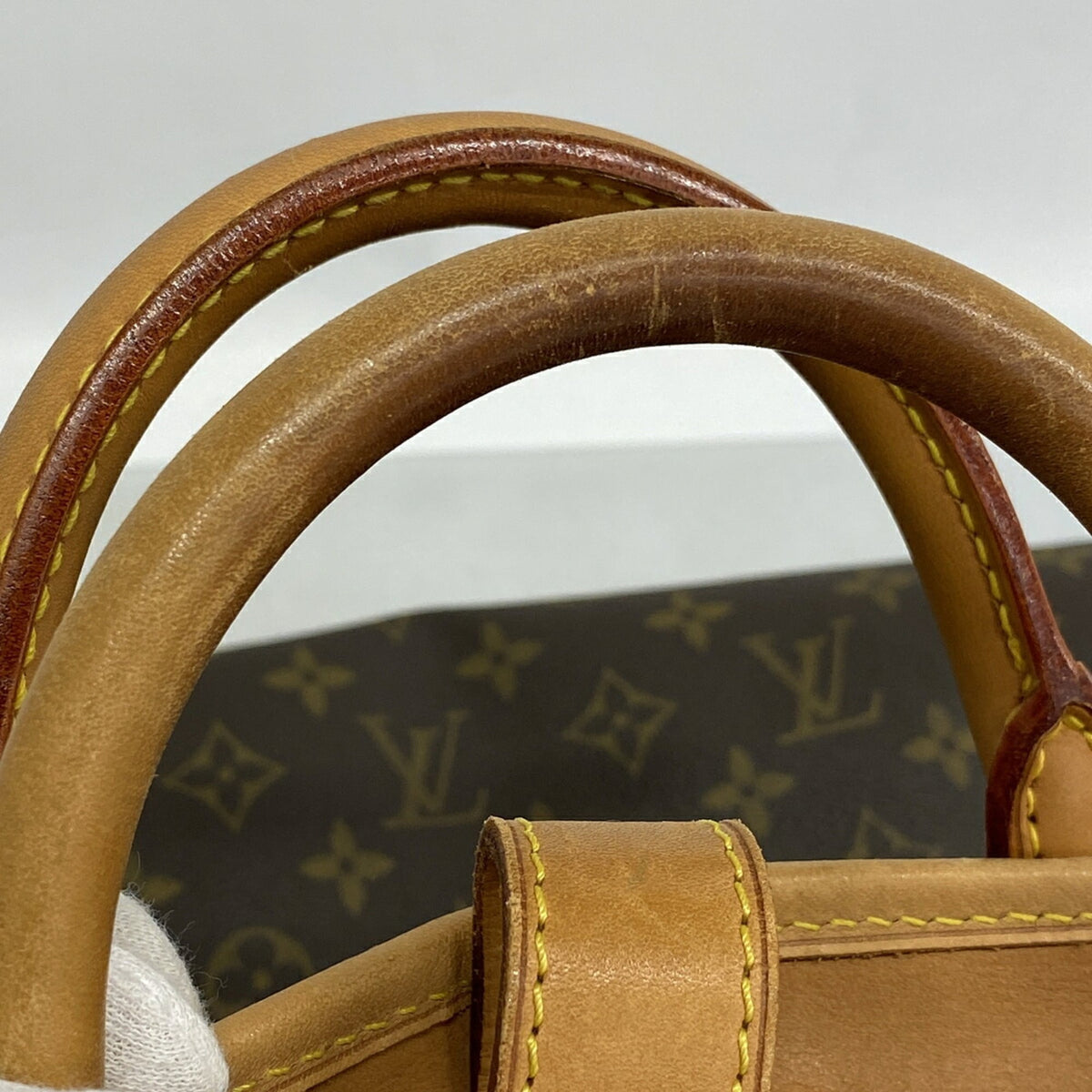 Louis Vuitton Brown Garment Case (Pre-Owned)