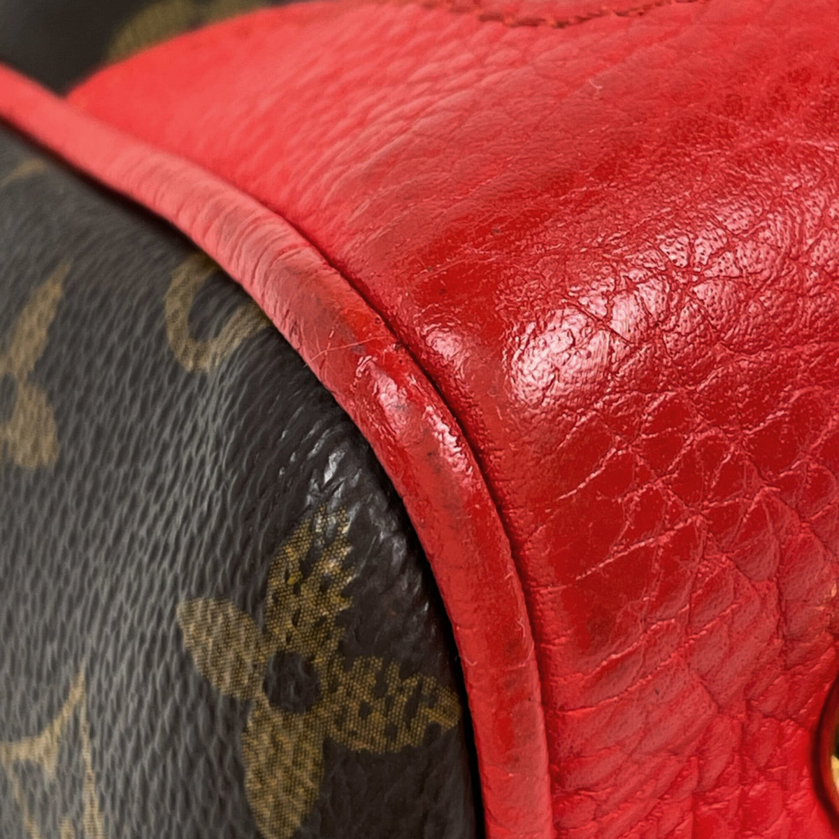 Louis Vuitton Brown Coquelicots Red Color Monogram Handbag (Pre-Owned)