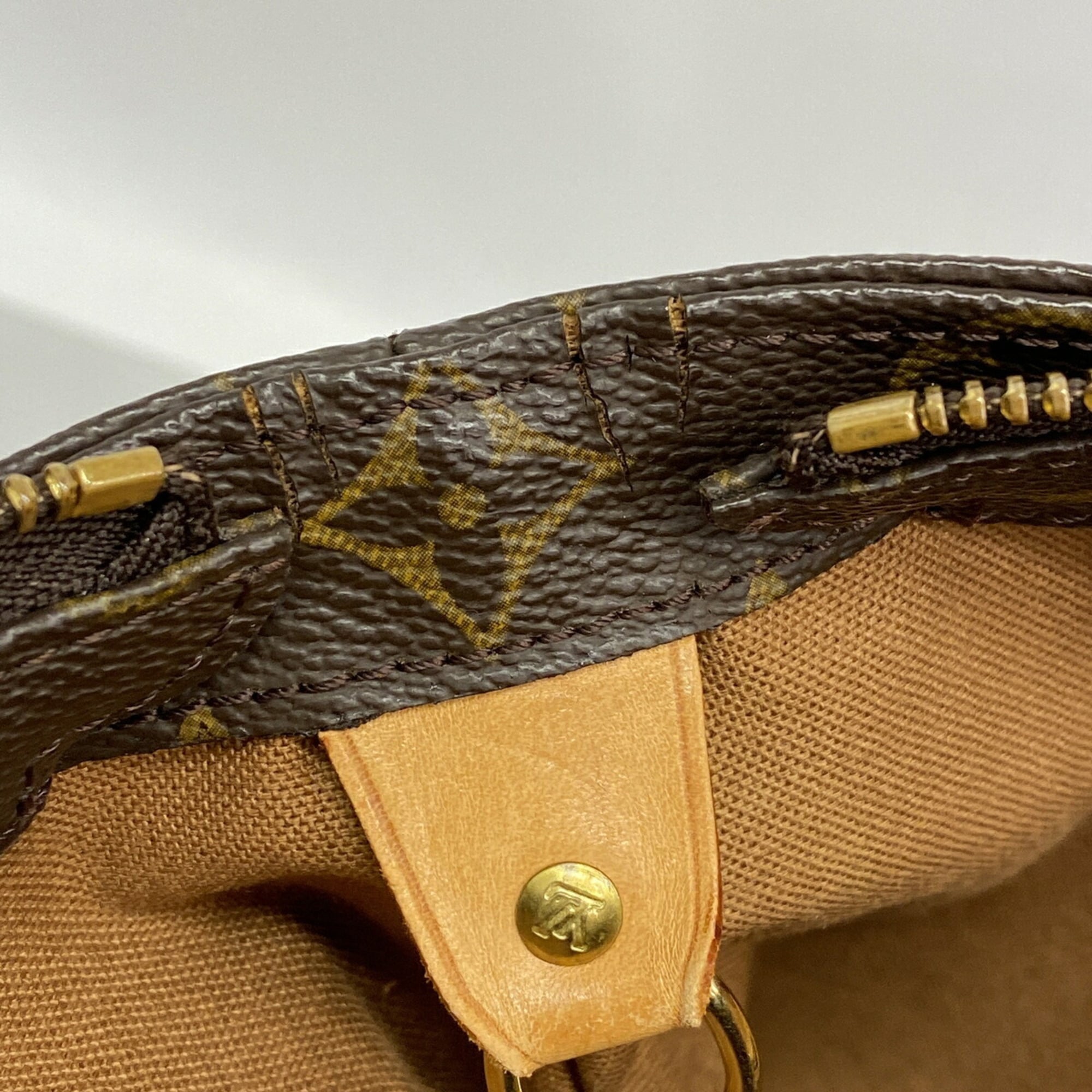 Louis Vuitton Brown Tote Bag (Pre-Owned)