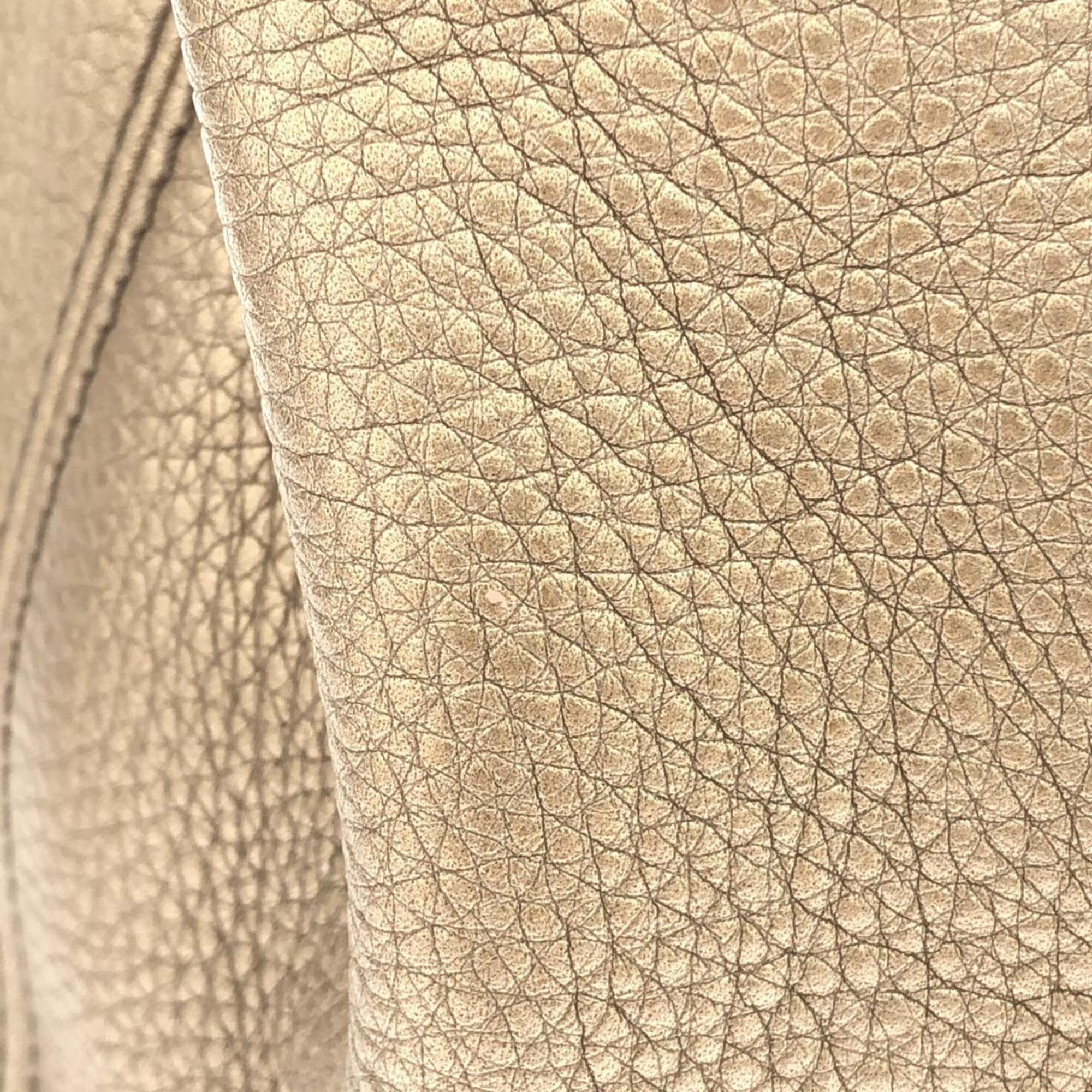 Gucci Metallic Beige Metallic Gold Leather Shoulder Bag (Pre-Owned)