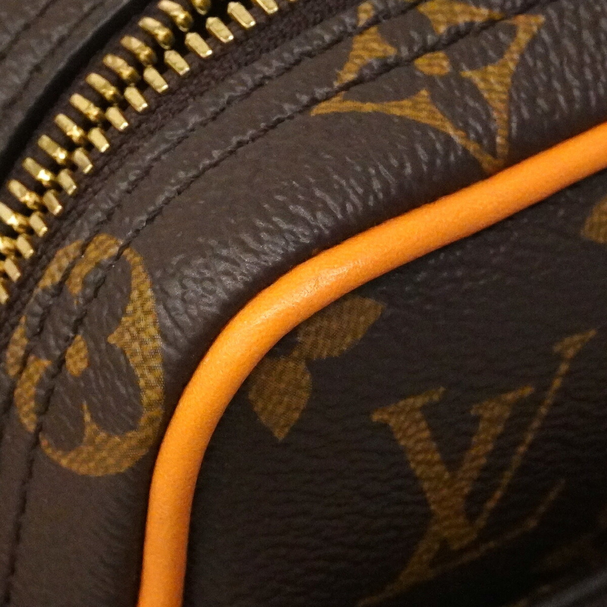 Louis Vuitton Brown Handbag (Pre-Owned)