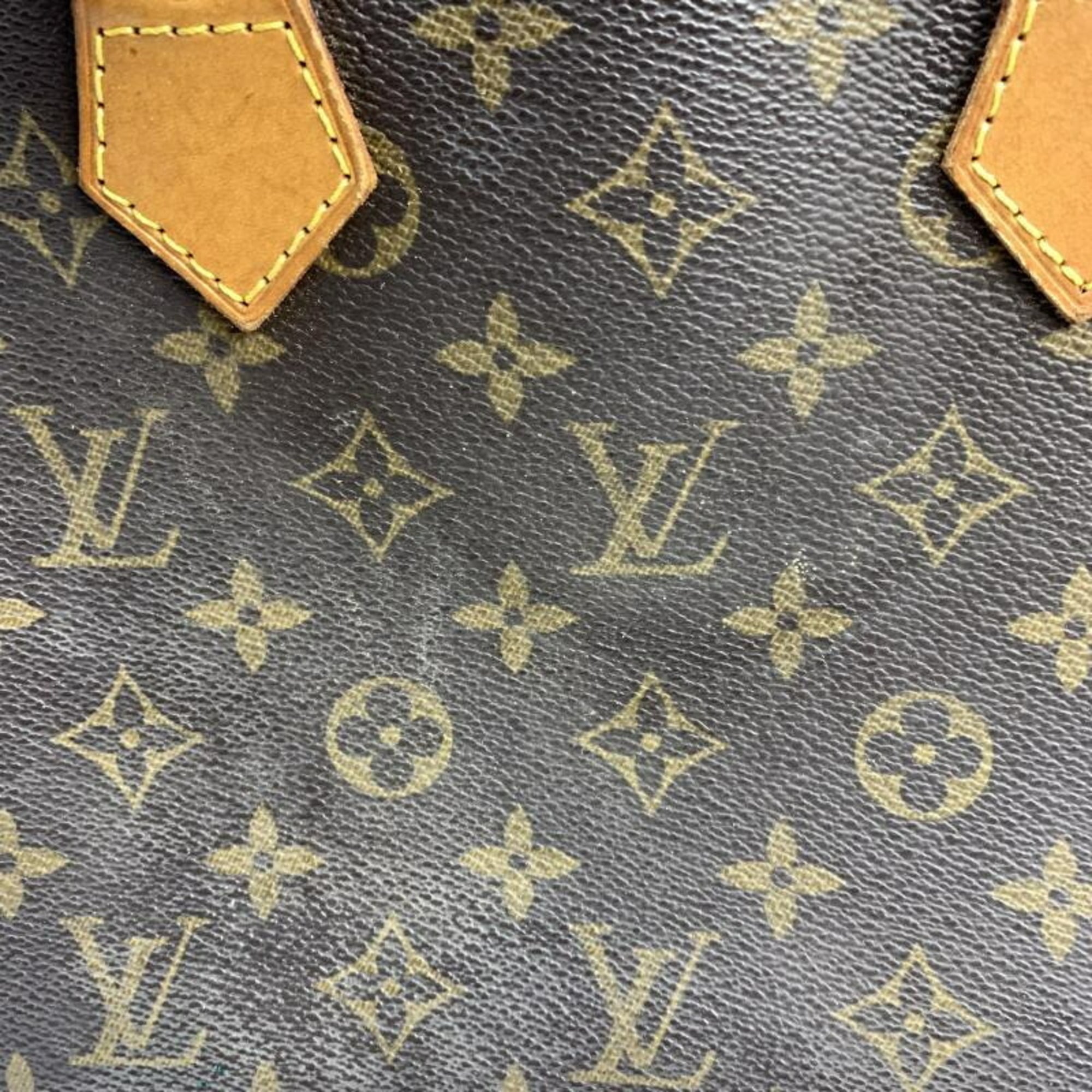 Louis Vuitton Handbag (Pre-Owned)