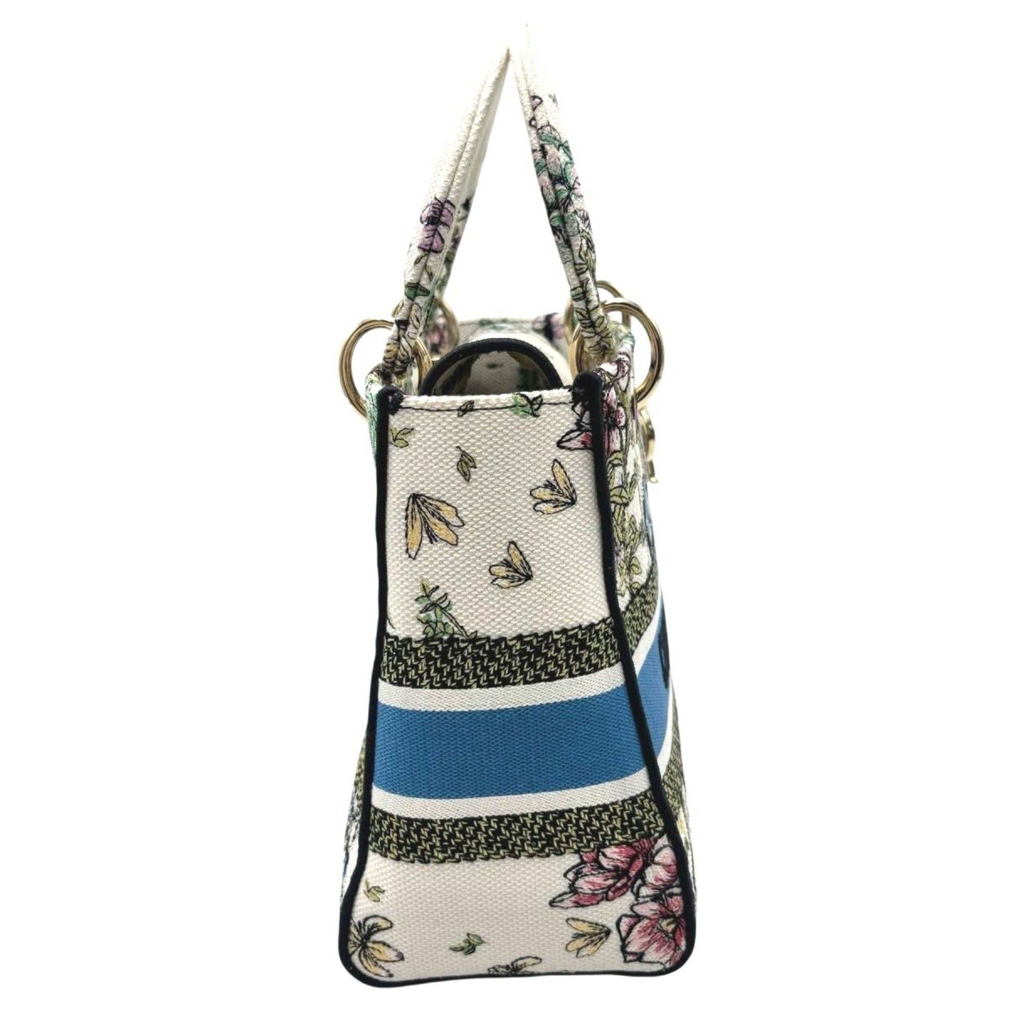 Christian Dior Lady Dior Multi-Color Canvas Handbag (Pre-Owned)