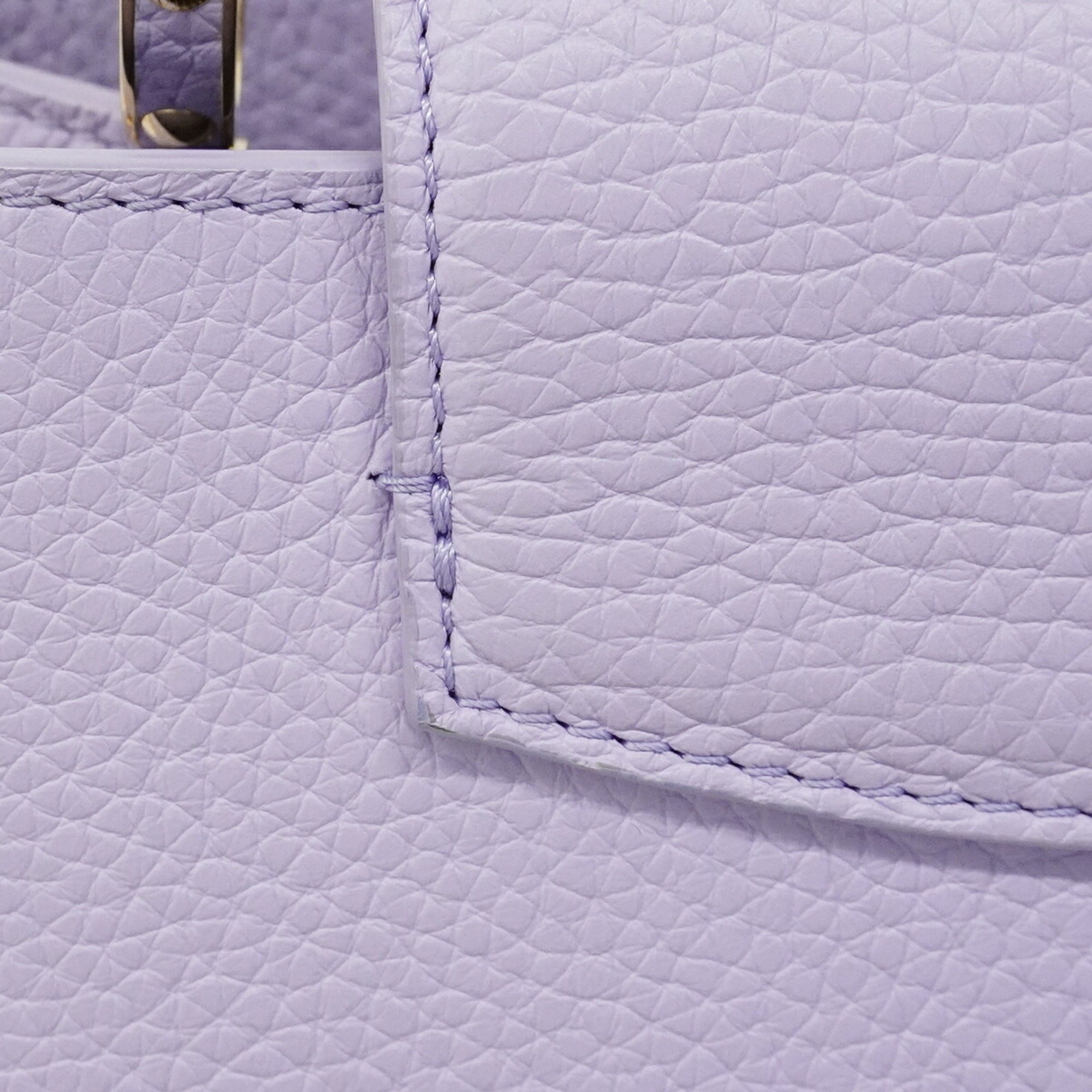 Louis Vuitton Purple Handbag (Pre-Owned)