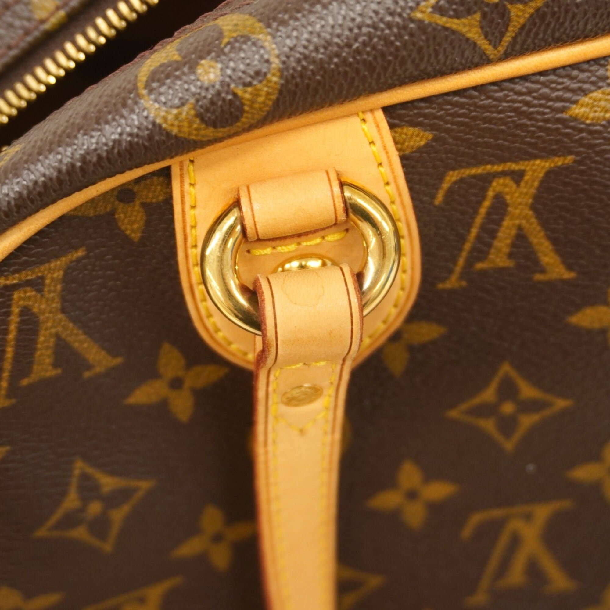 Louis Vuitton Brown Handbag (Pre-Owned)