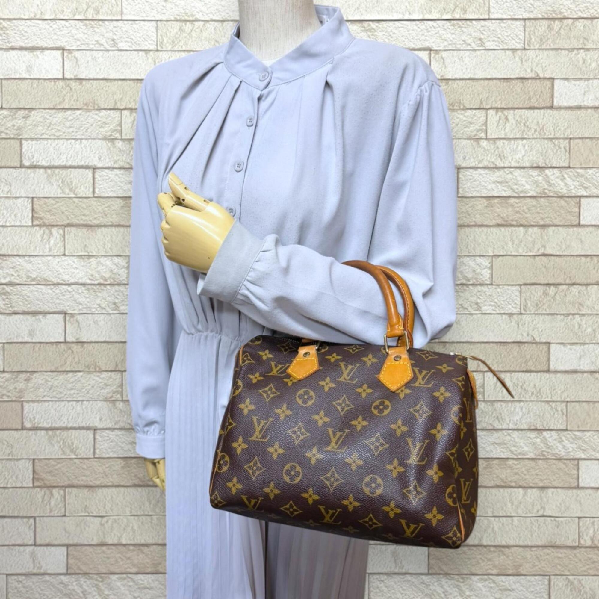 Louis Vuitton Brown Monogram Canvas Handbag (Pre-Owned)