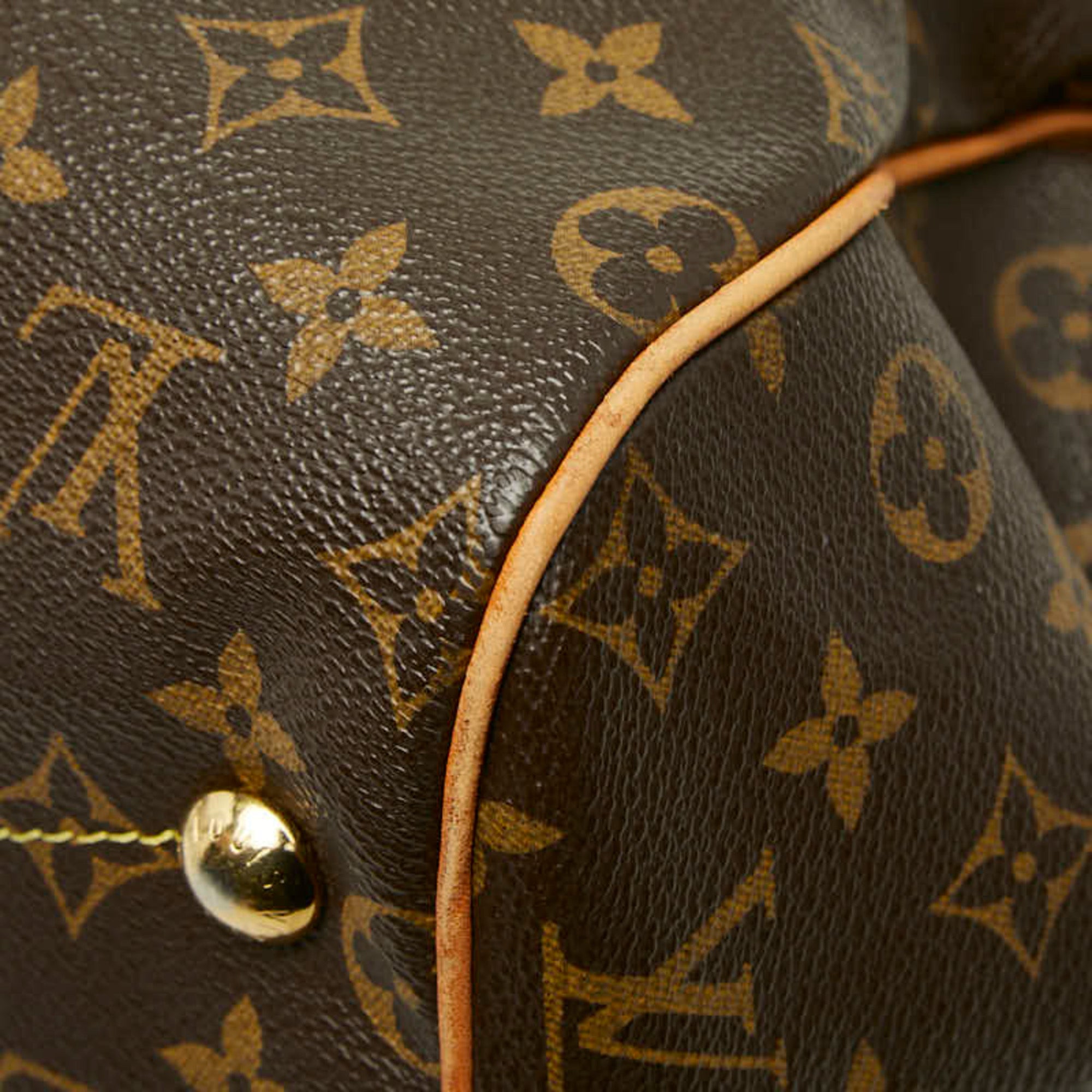 Louis Vuitton Brown Pvc Leather Handbag Shoulder Bag (Pre-Owned)