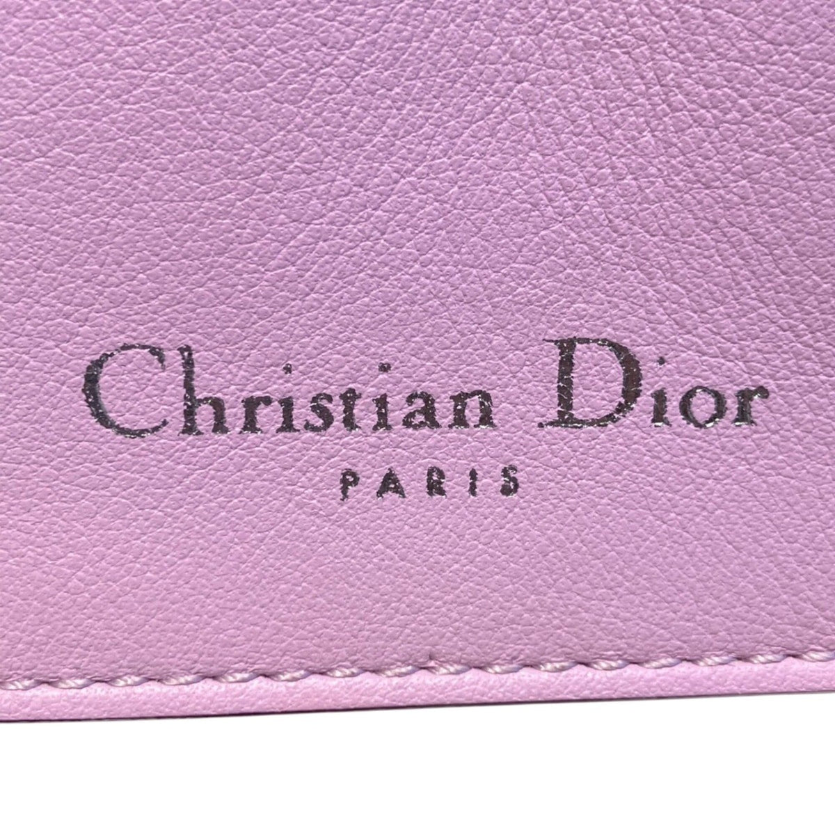 Christian Dior Red Color Leather Handbag (Pre-Owned)