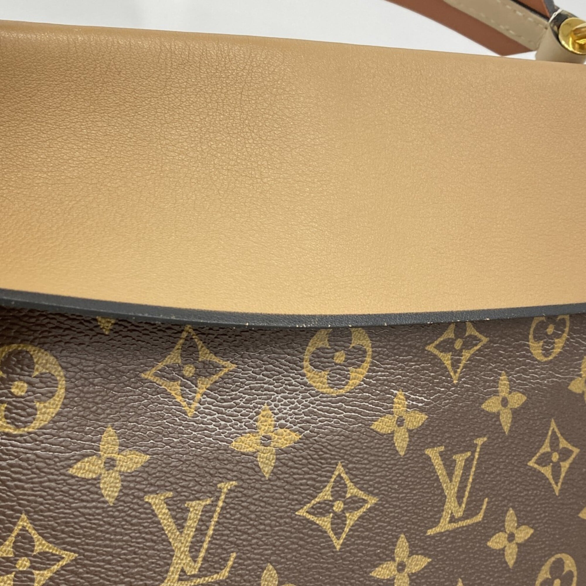 Louis Vuitton Brown Handbag (Pre-Owned)