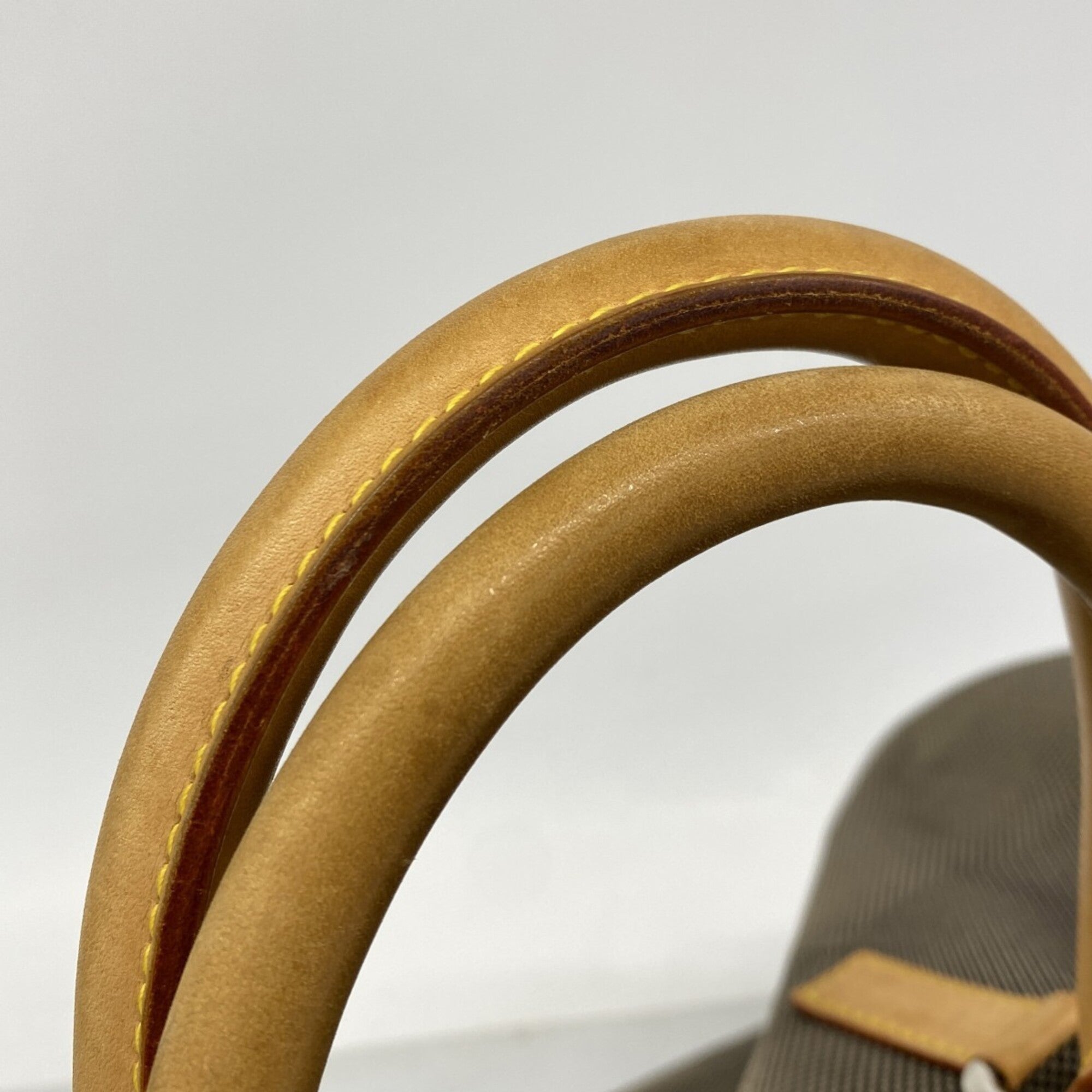 Louis Vuitton Earth Boston Bag (Pre-Owned)